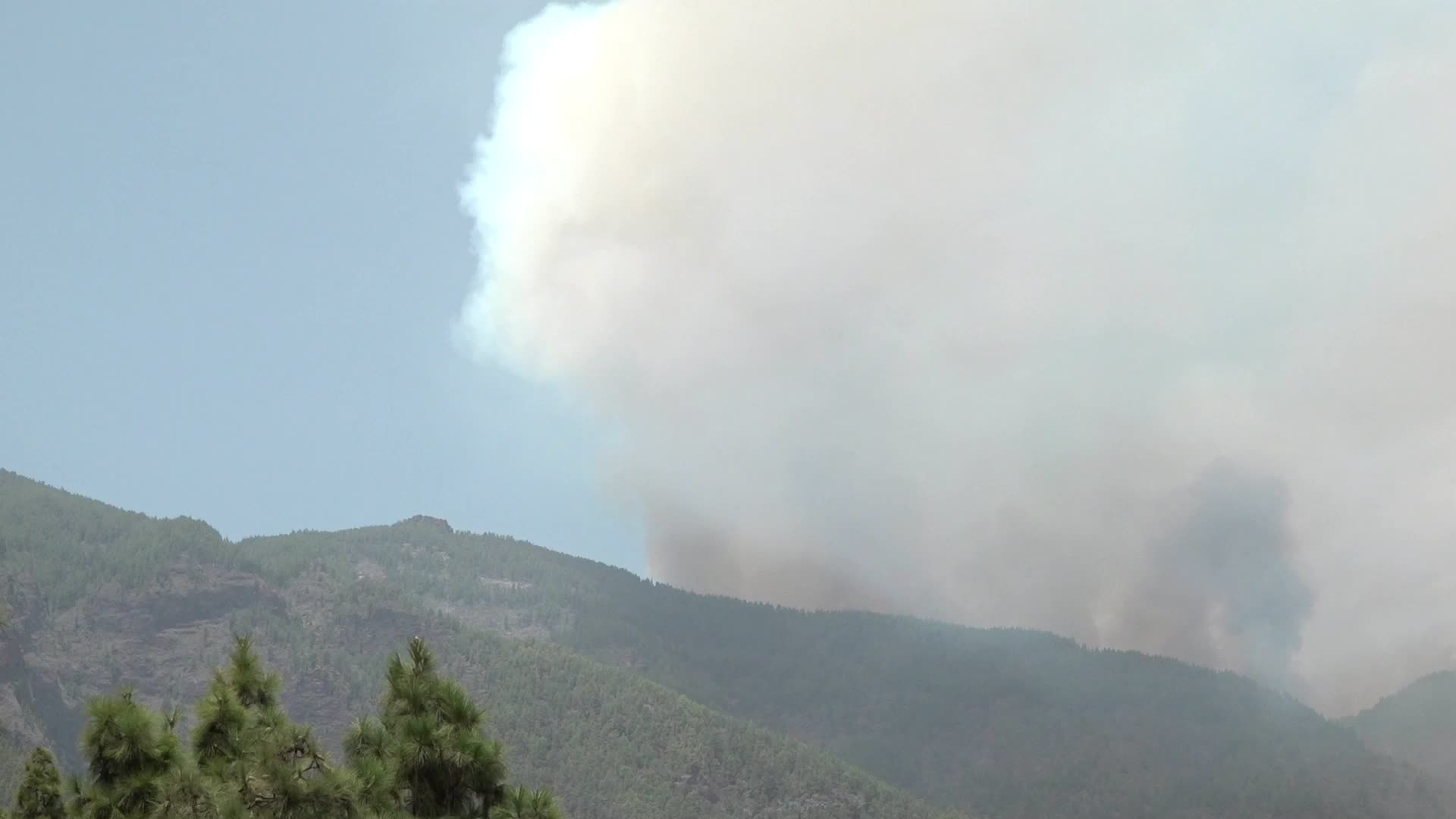 Wildfire On Spain's Tenerife Burning 'Out Of Control'