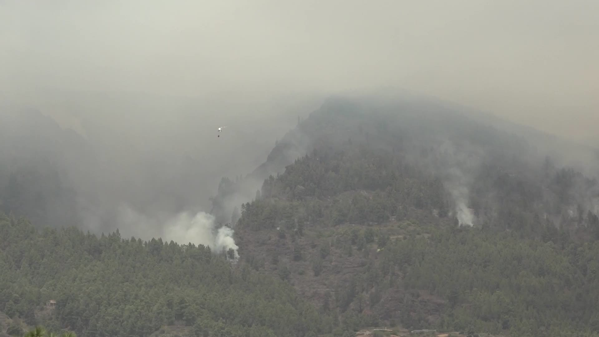 Wildfire On Spain's Tenerife Burning 'Out Of Control'
