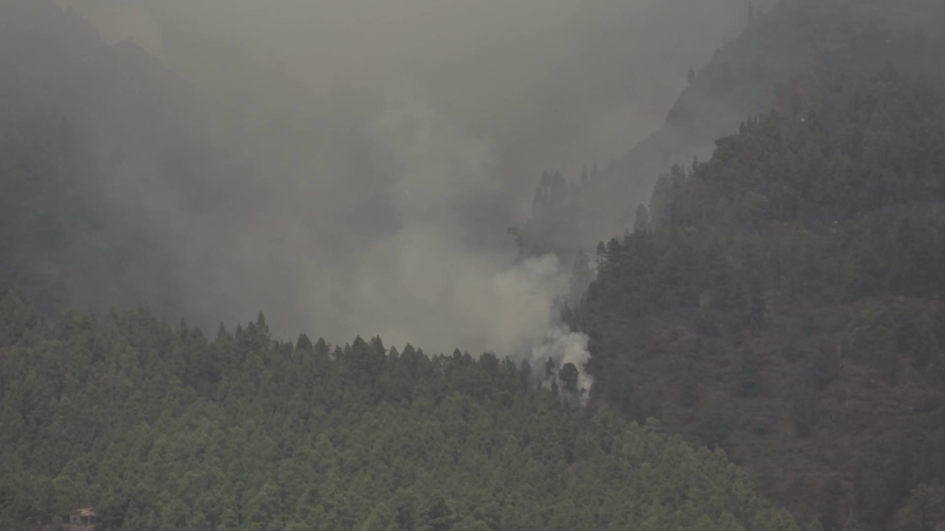 Wildfire On Spain's Tenerife Burning 'Out Of Control'