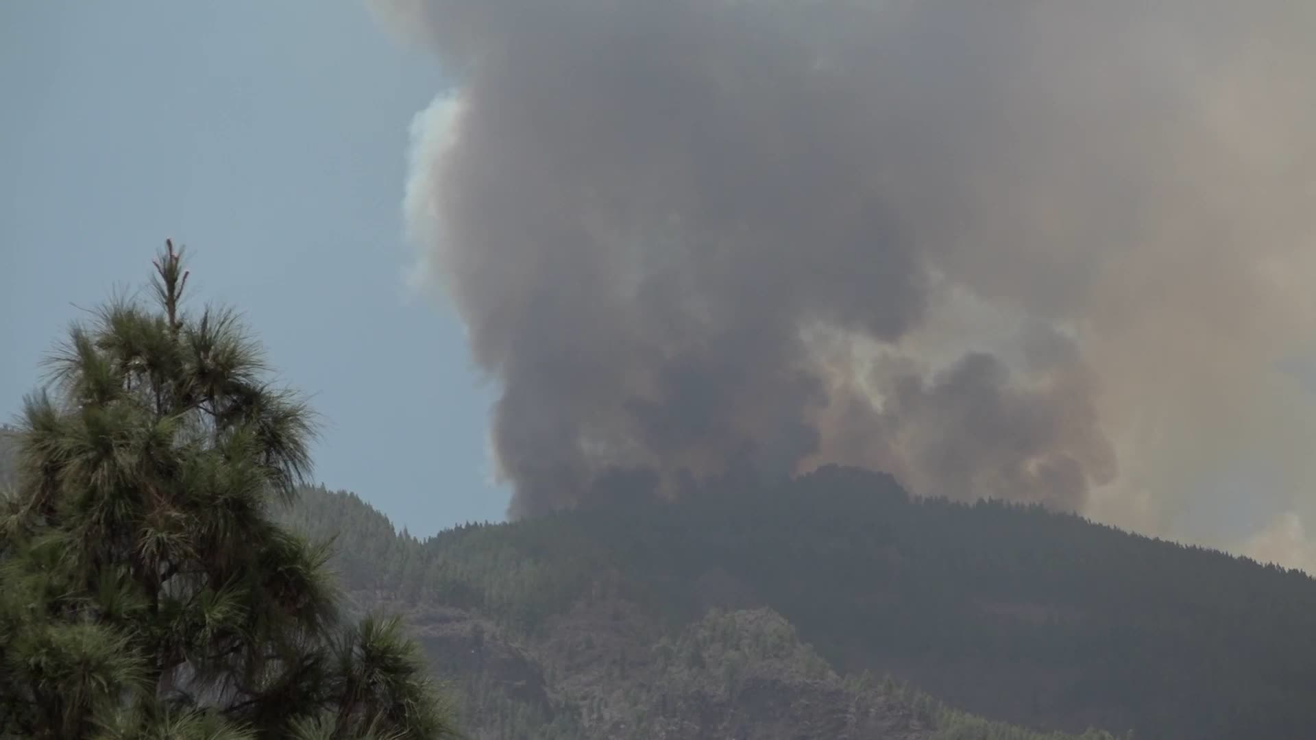 Wildfire On Spain's Tenerife Burning 'Out Of Control'