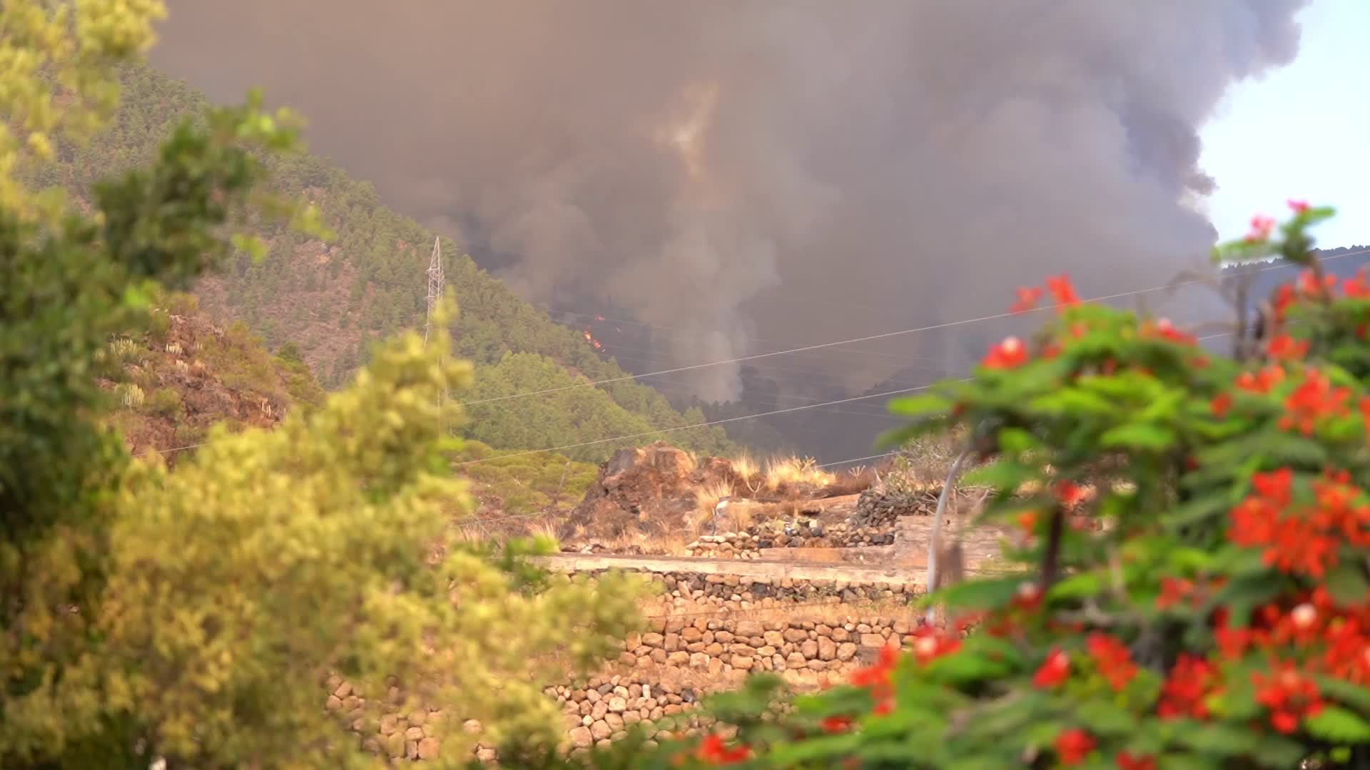 Wildfire On Spain's Tenerife Burning 'Out Of Control'