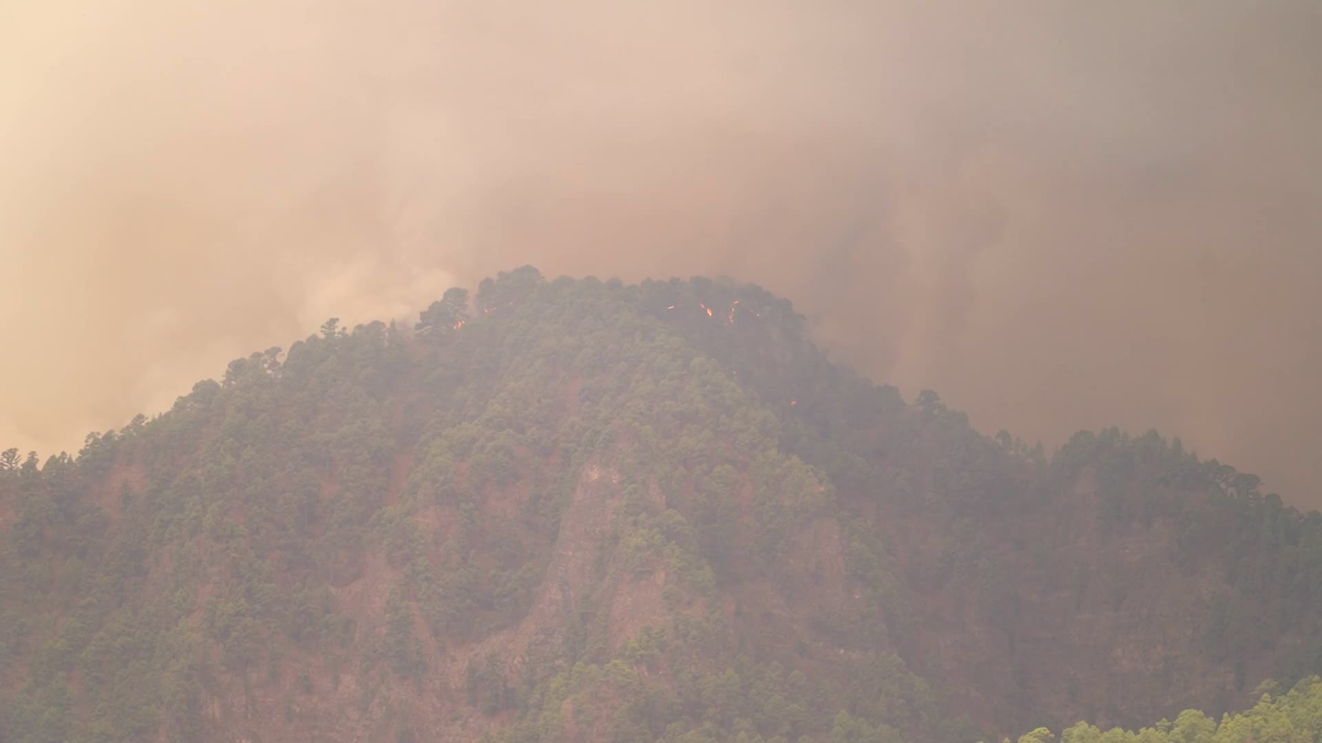 Wildfire On Spain's Tenerife Burning 'Out Of Control'