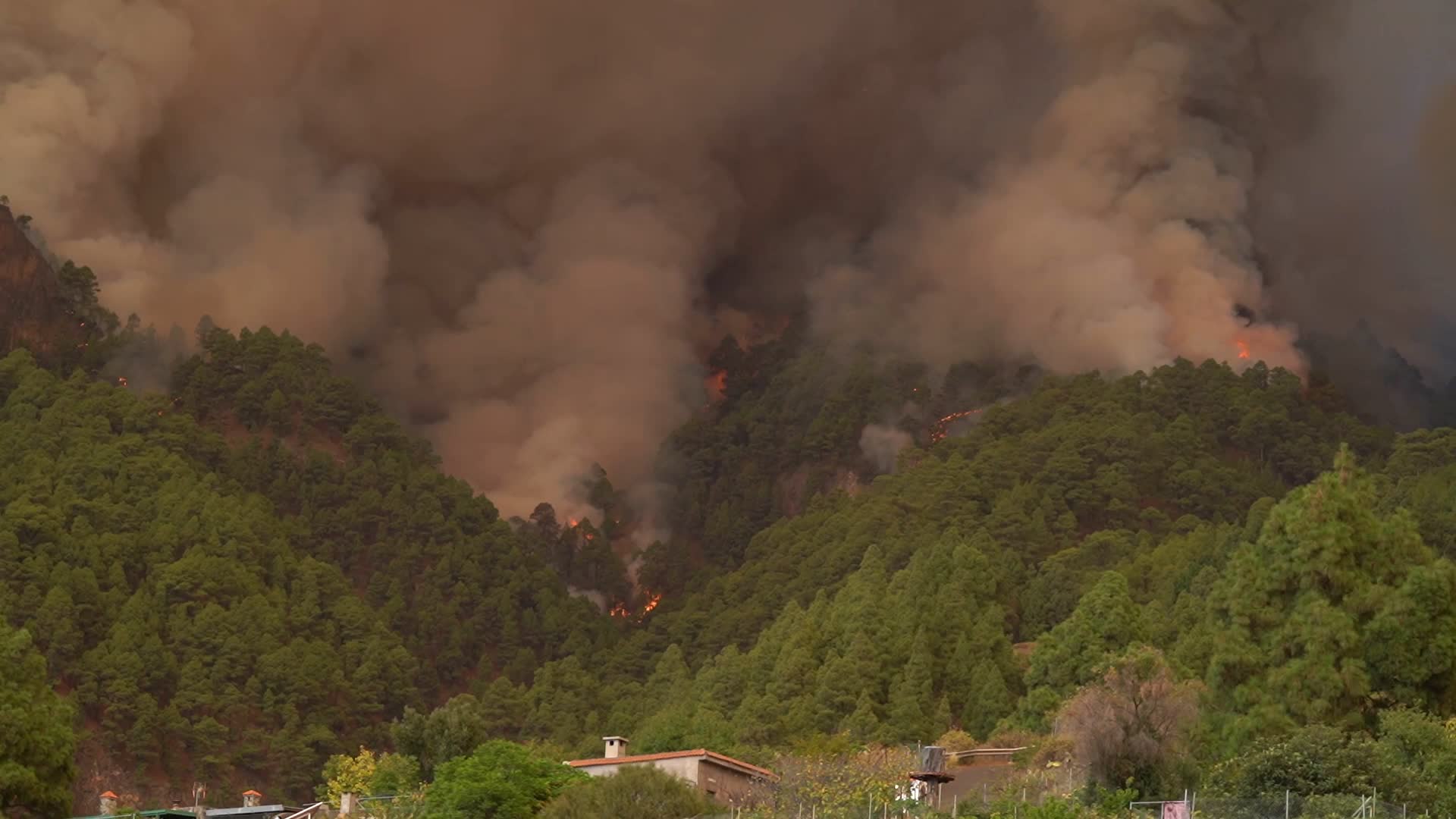 Wildfire On Spain's Tenerife Burning 'Out Of Control'