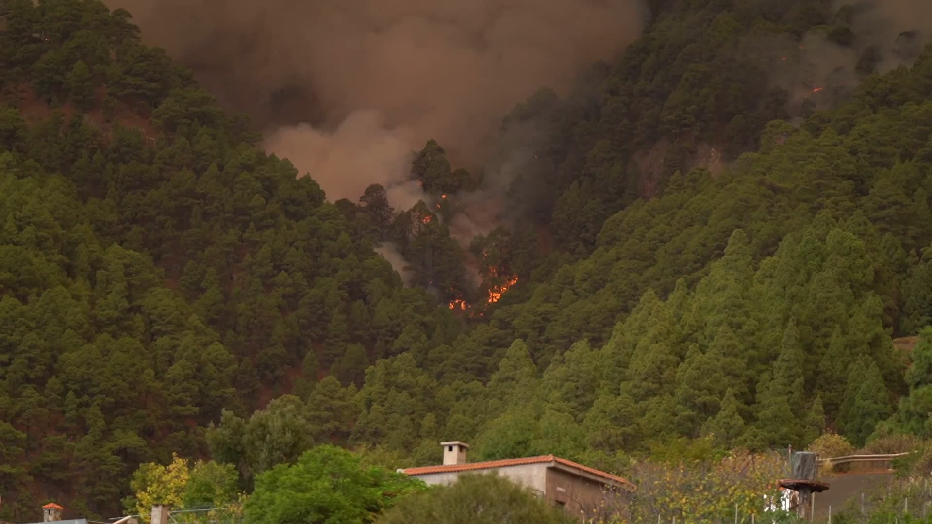 Wildfire On Spain's Tenerife Burning 'Out Of Control'