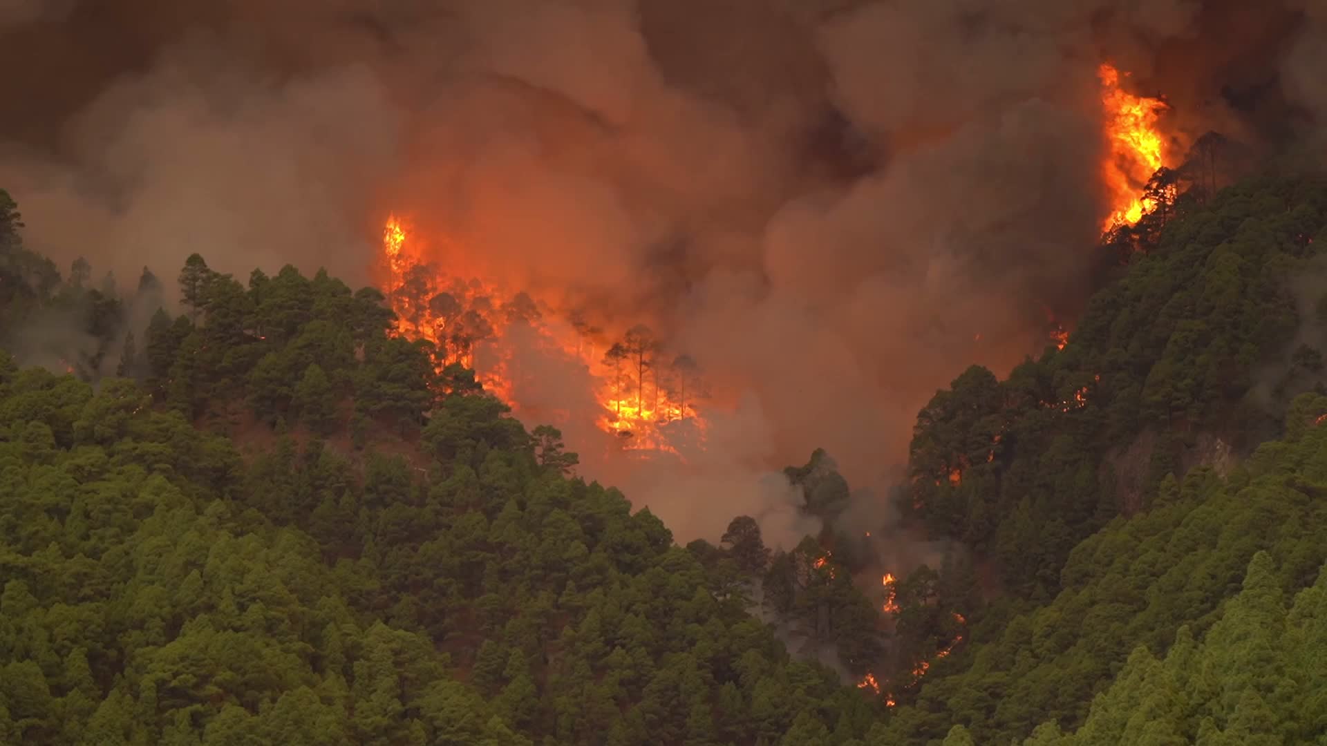 Wildfire On Spain's Tenerife Burning 'Out Of Control'