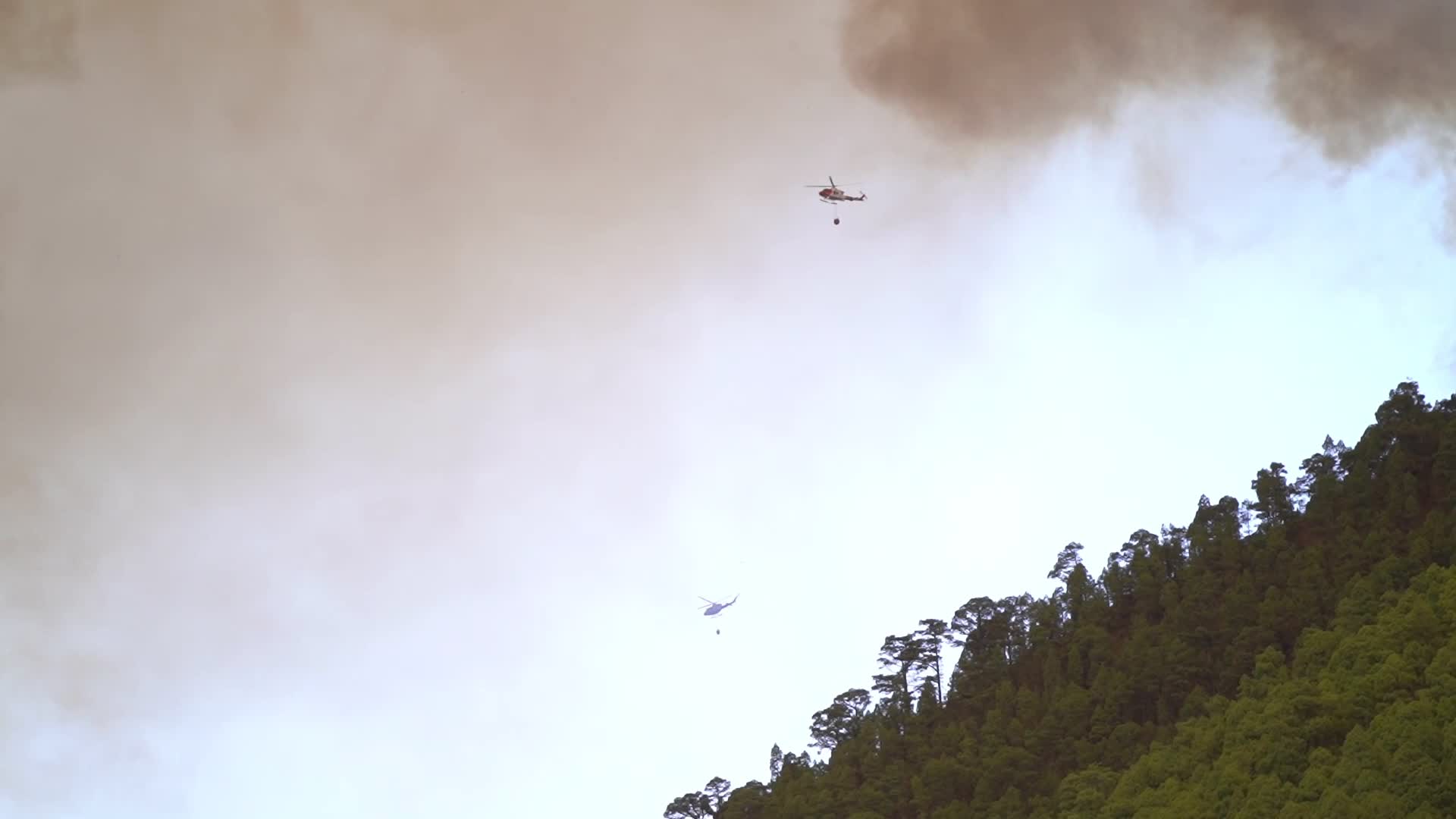 Wildfire On Spain's Tenerife Burning 'Out Of Control'