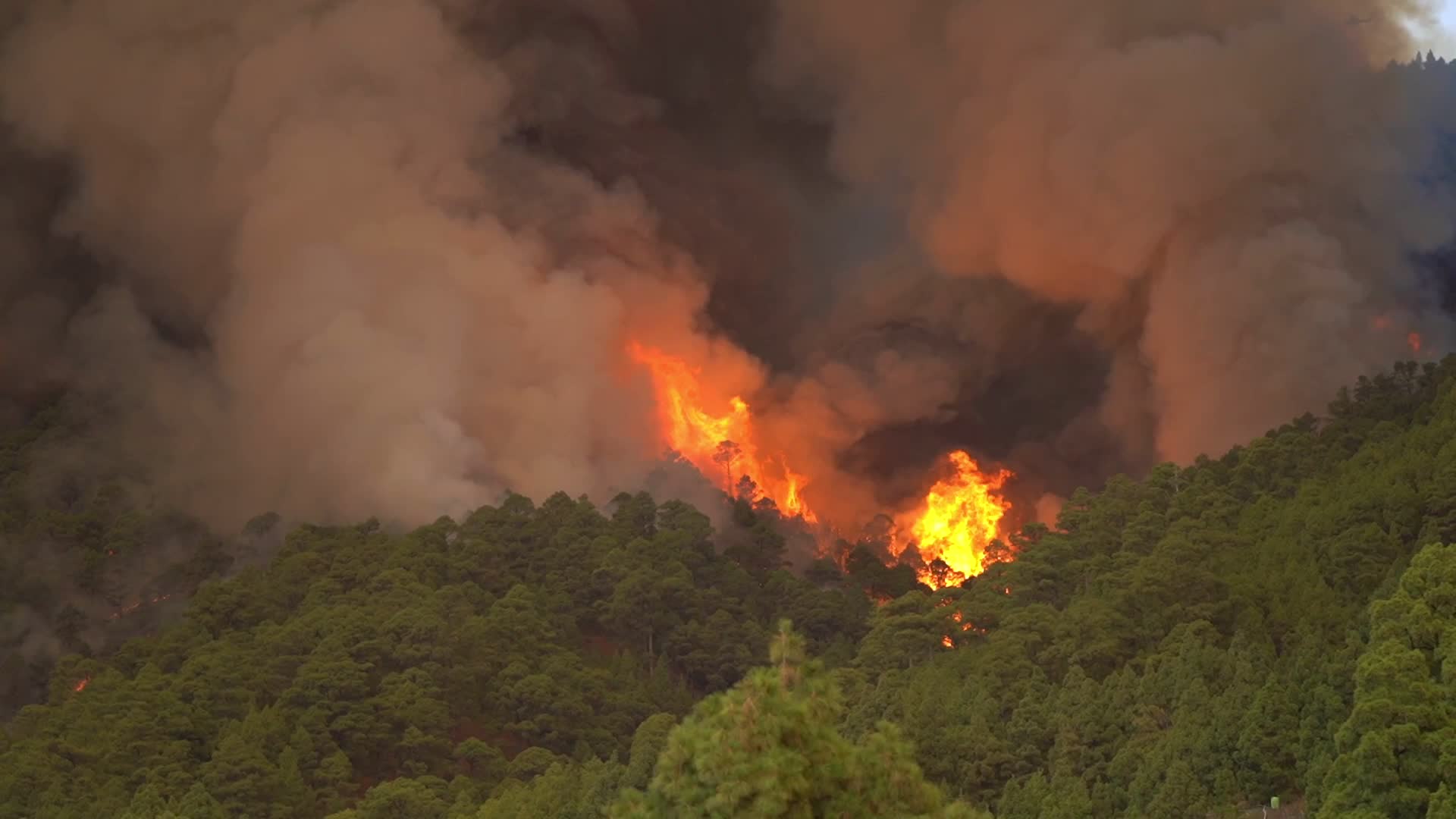 Wildfire On Spain's Tenerife Burning 'Out Of Control'