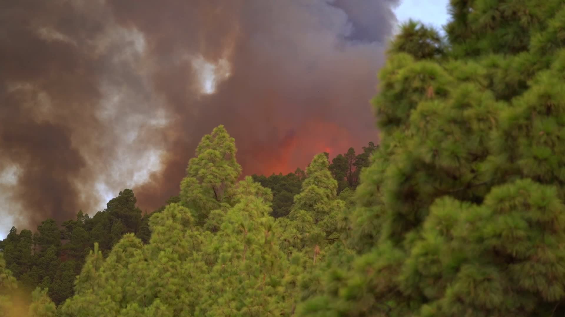 Wildfire On Spain's Tenerife Burning 'Out Of Control'