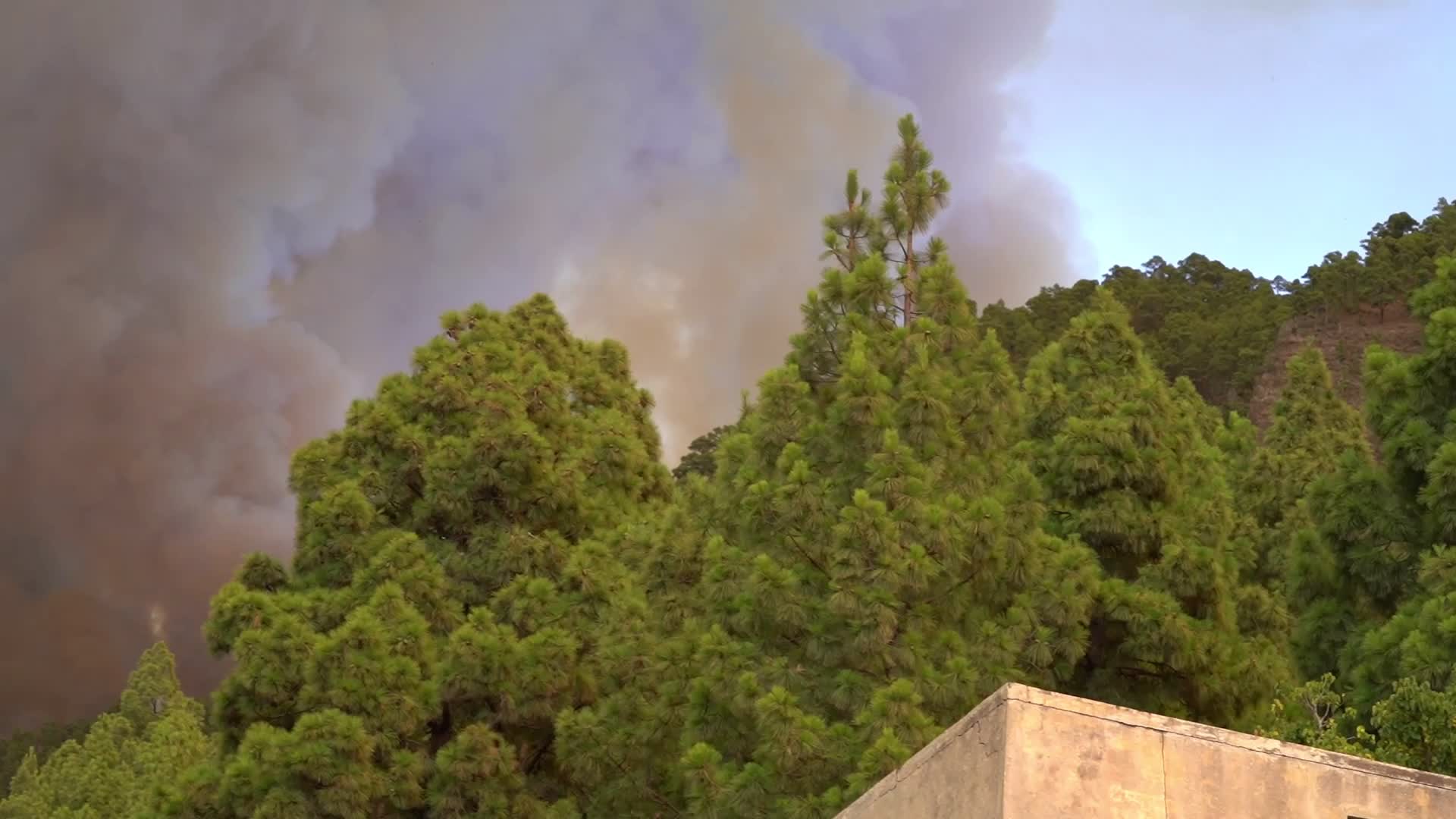 Wildfire On Spain's Tenerife Burning 'Out Of Control'