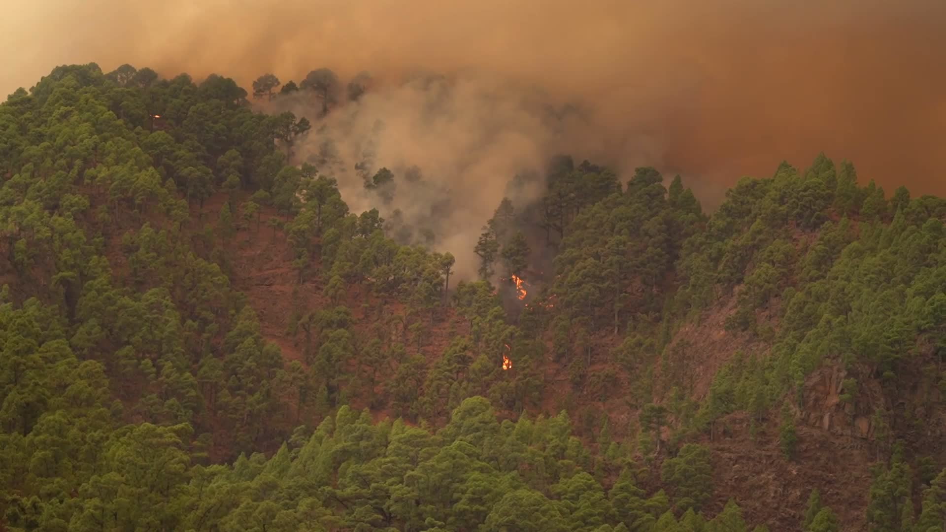 Wildfire On Spain's Tenerife Burning 'Out Of Control'