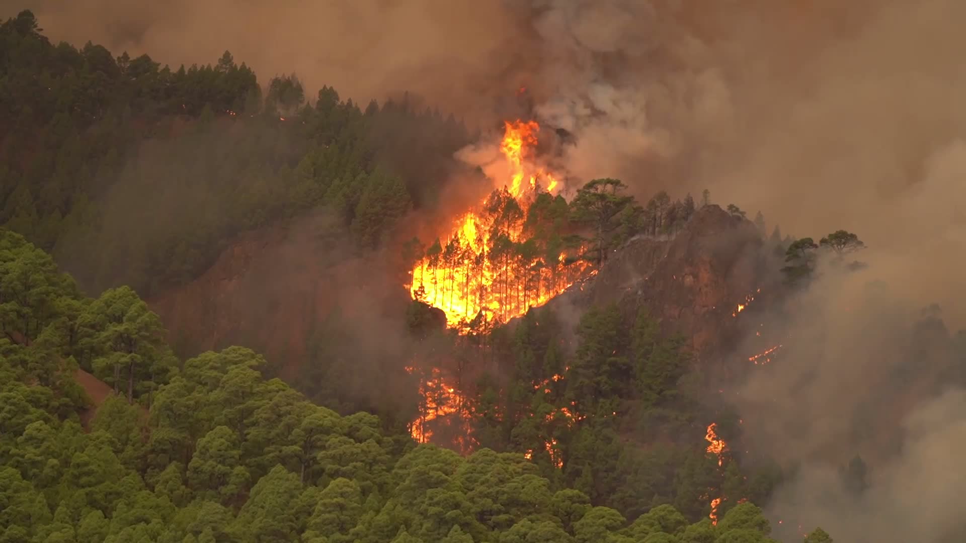 Wildfire On Spain's Tenerife Burning 'Out Of Control'