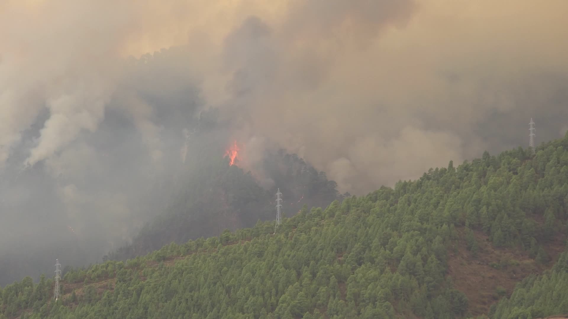 Wildfire On Spain's Tenerife Burning 'Out Of Control'