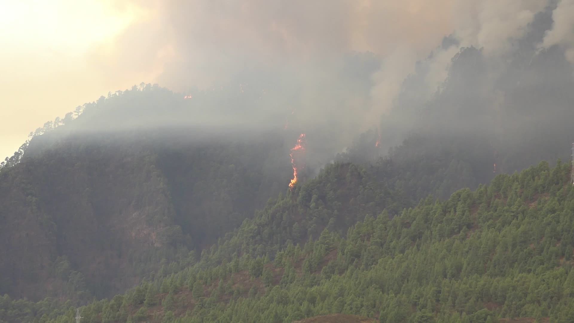 Wildfire On Spain's Tenerife Burning 'Out Of Control'