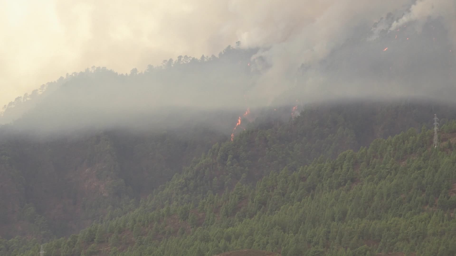 Wildfire On Spain's Tenerife Burning 'Out Of Control'