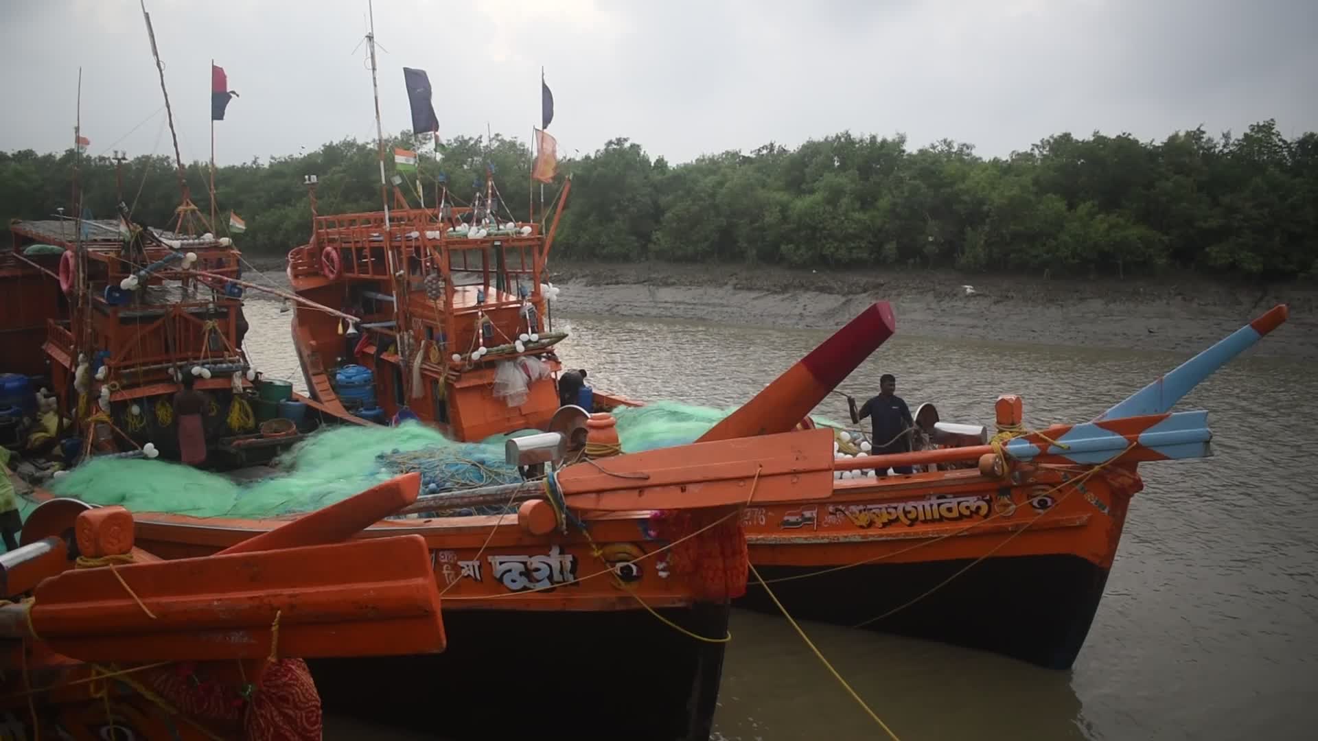 Daily life in Fraserganj Fishing Harbour, West Bengal