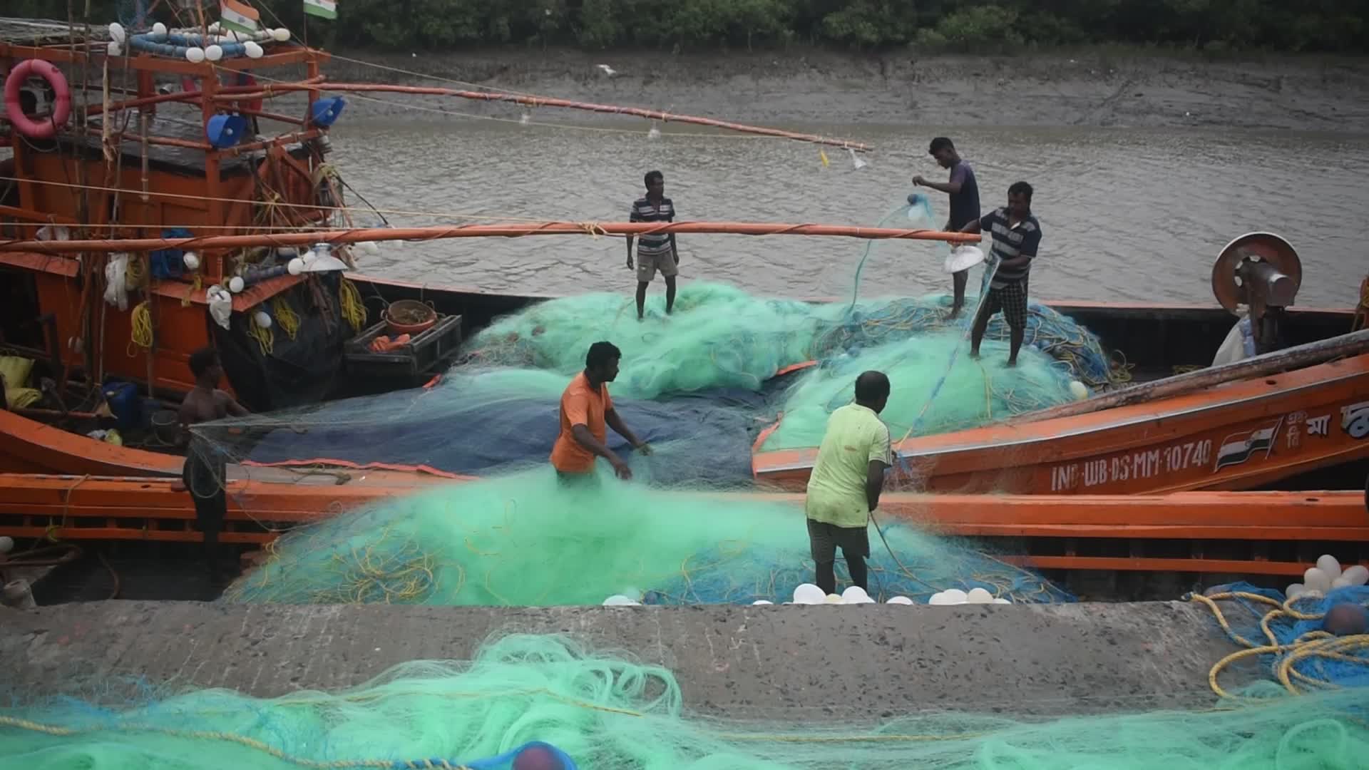 Daily life in Fraserganj Fishing Harbour, West Bengal