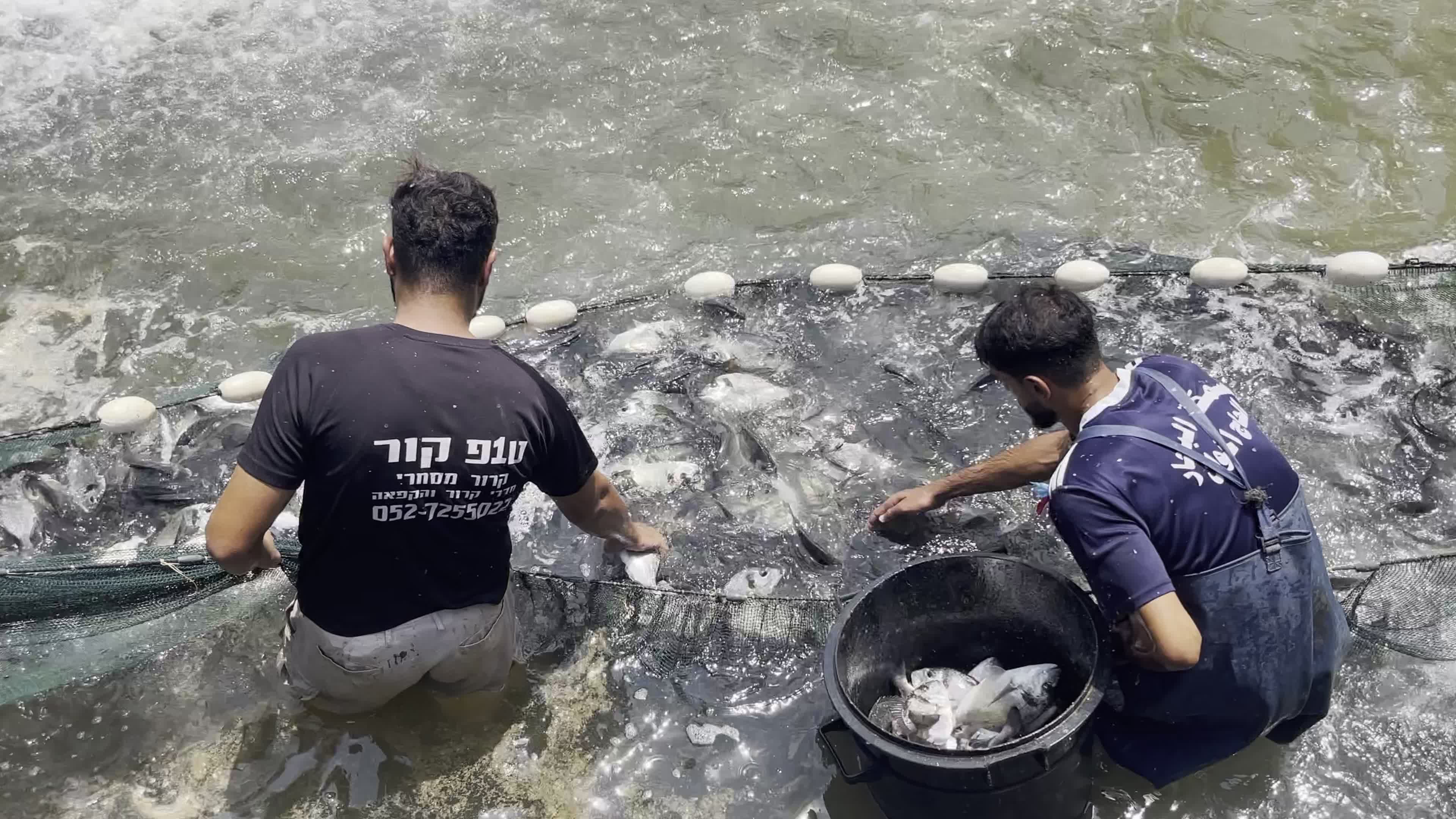 Fishing Market In Gaza, Palestine