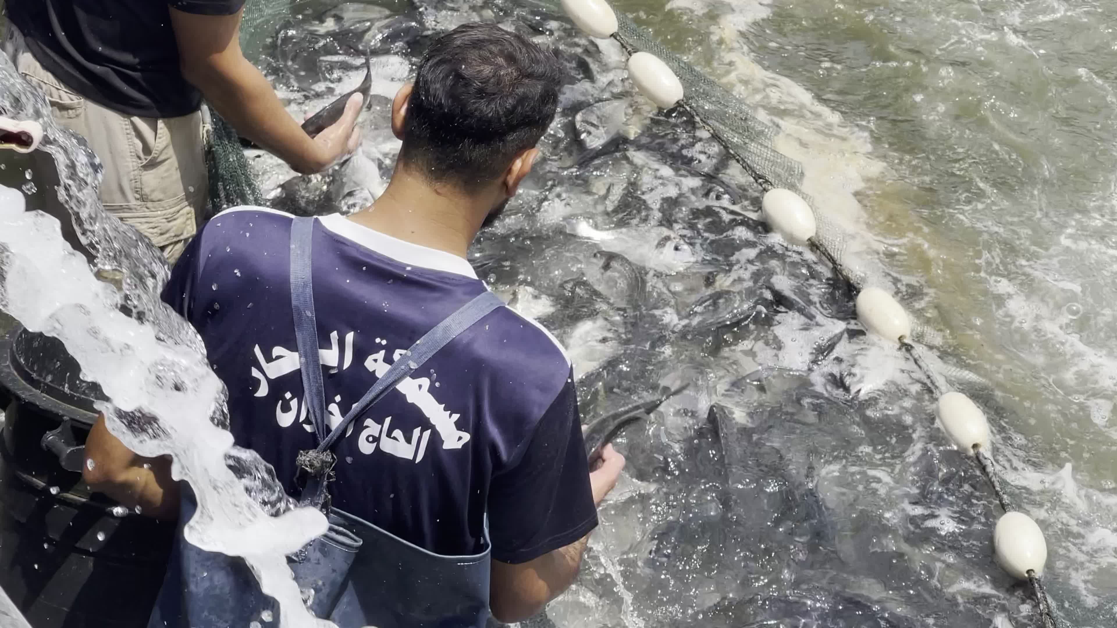 Fishing Market In Gaza, Palestine
