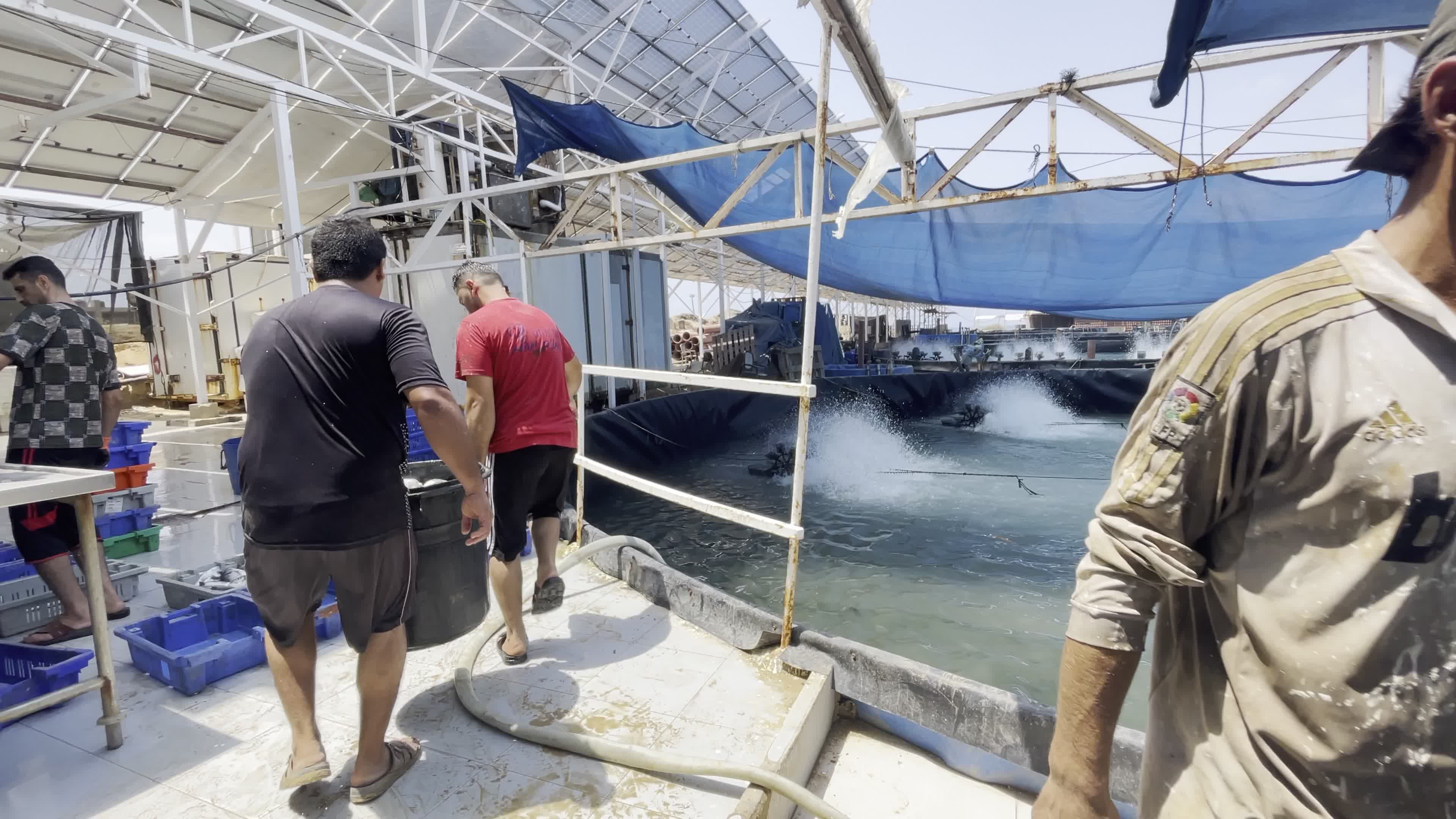 Fishing Market In Gaza, Palestine