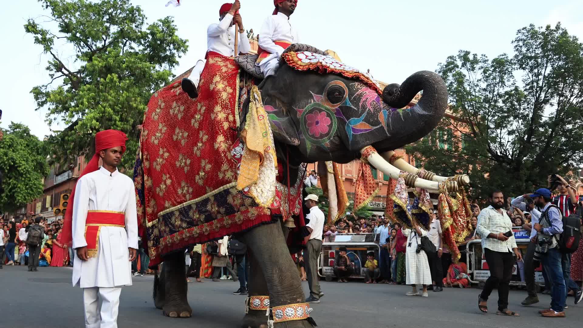 Teej Festival in Jaipur 