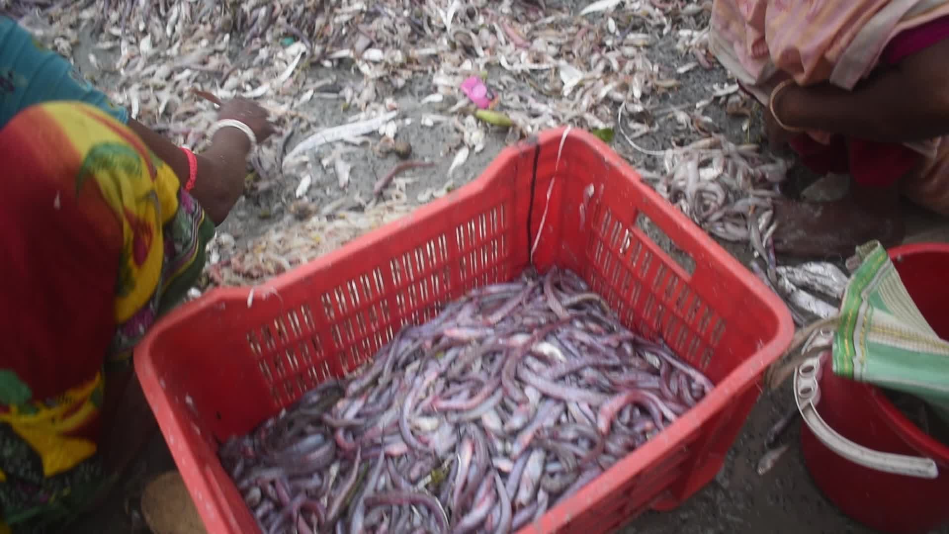 Daily life in Fraserganj