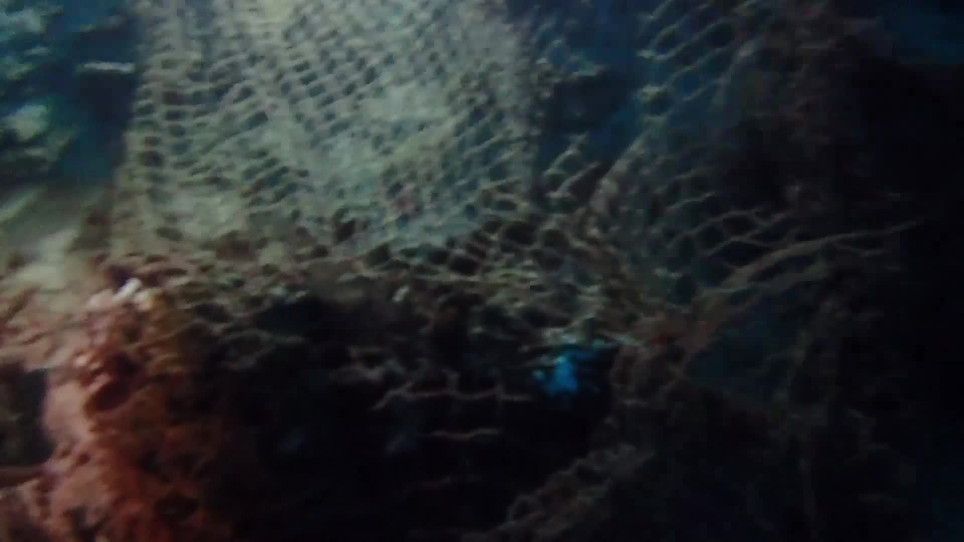 23hours Underwater ocean clean up in Malaysia 