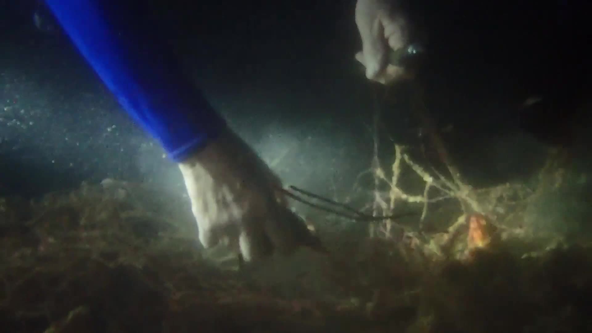 23hours Underwater ocean clean up in Malaysia 