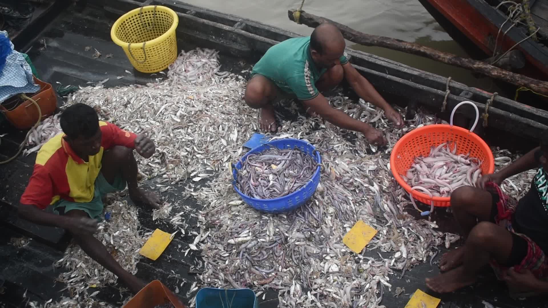 Daily life in Fraserganj