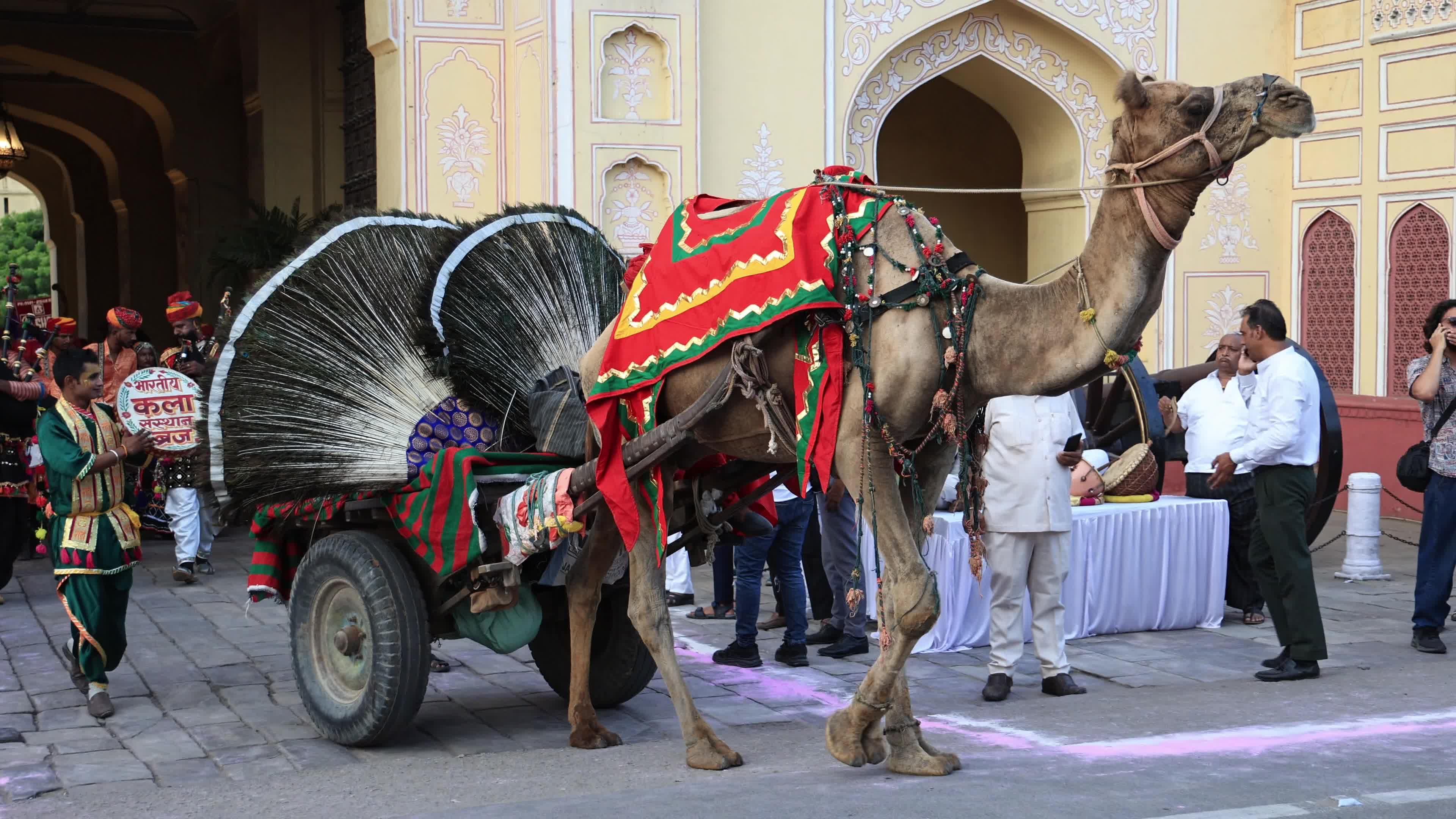 Teej Festival in Jaipur 