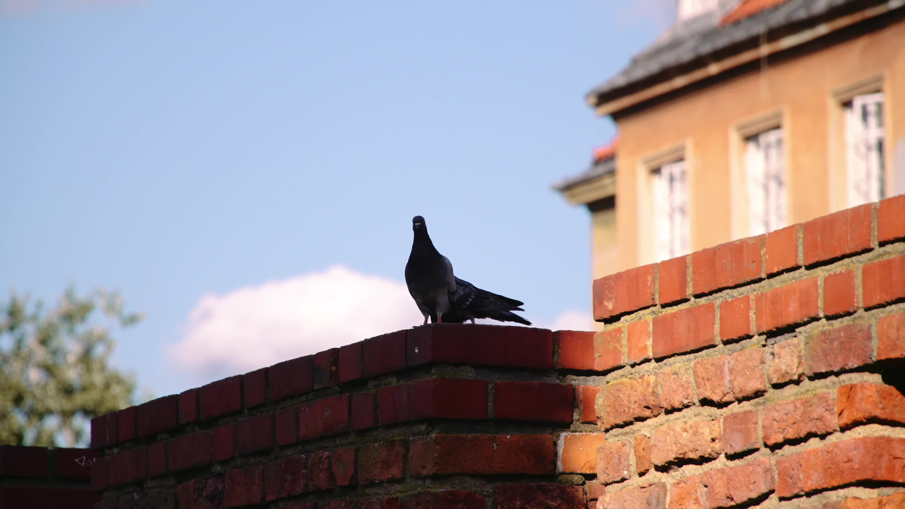 Daily life in Warsaw