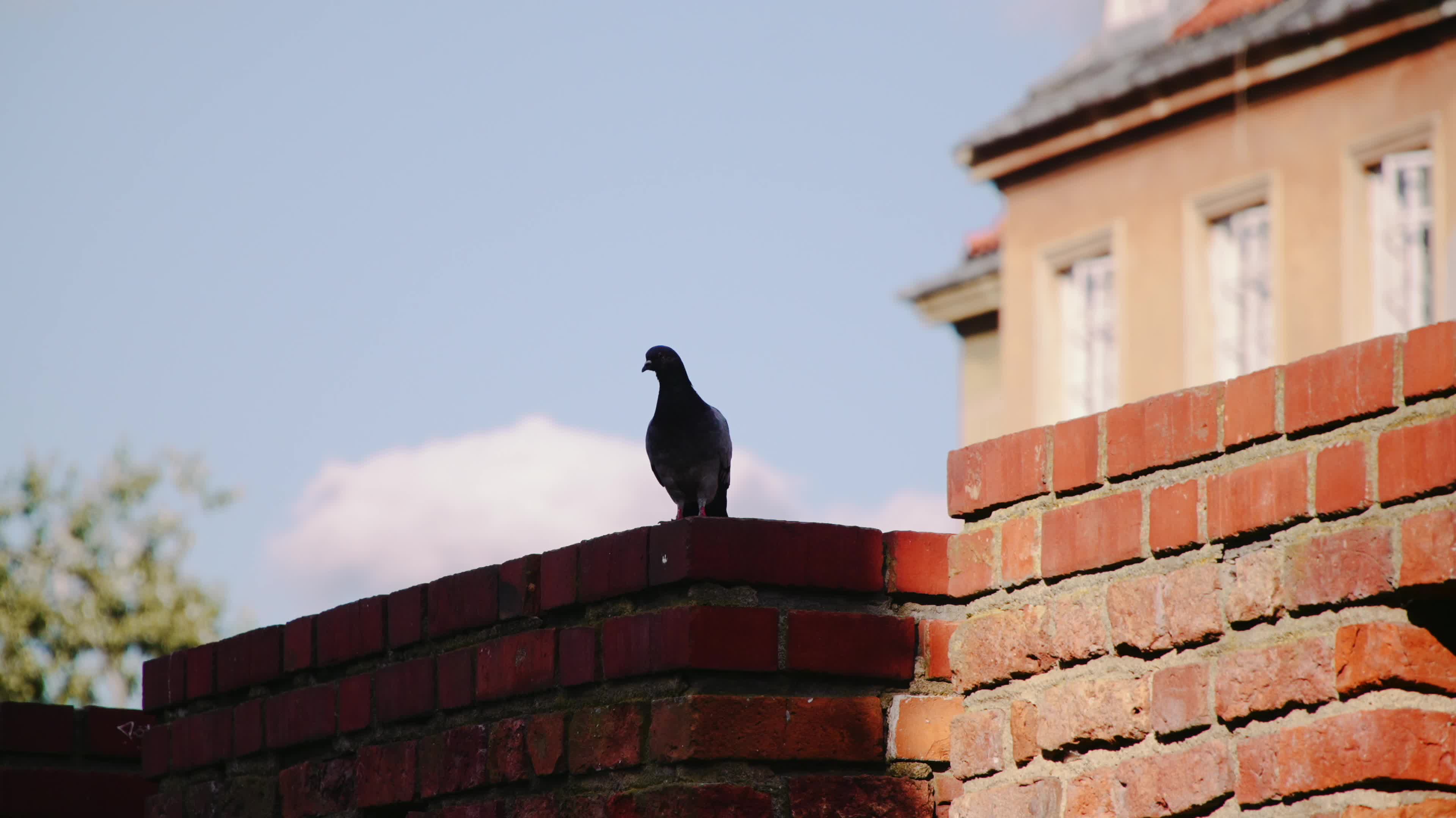 Daily life in Warsaw