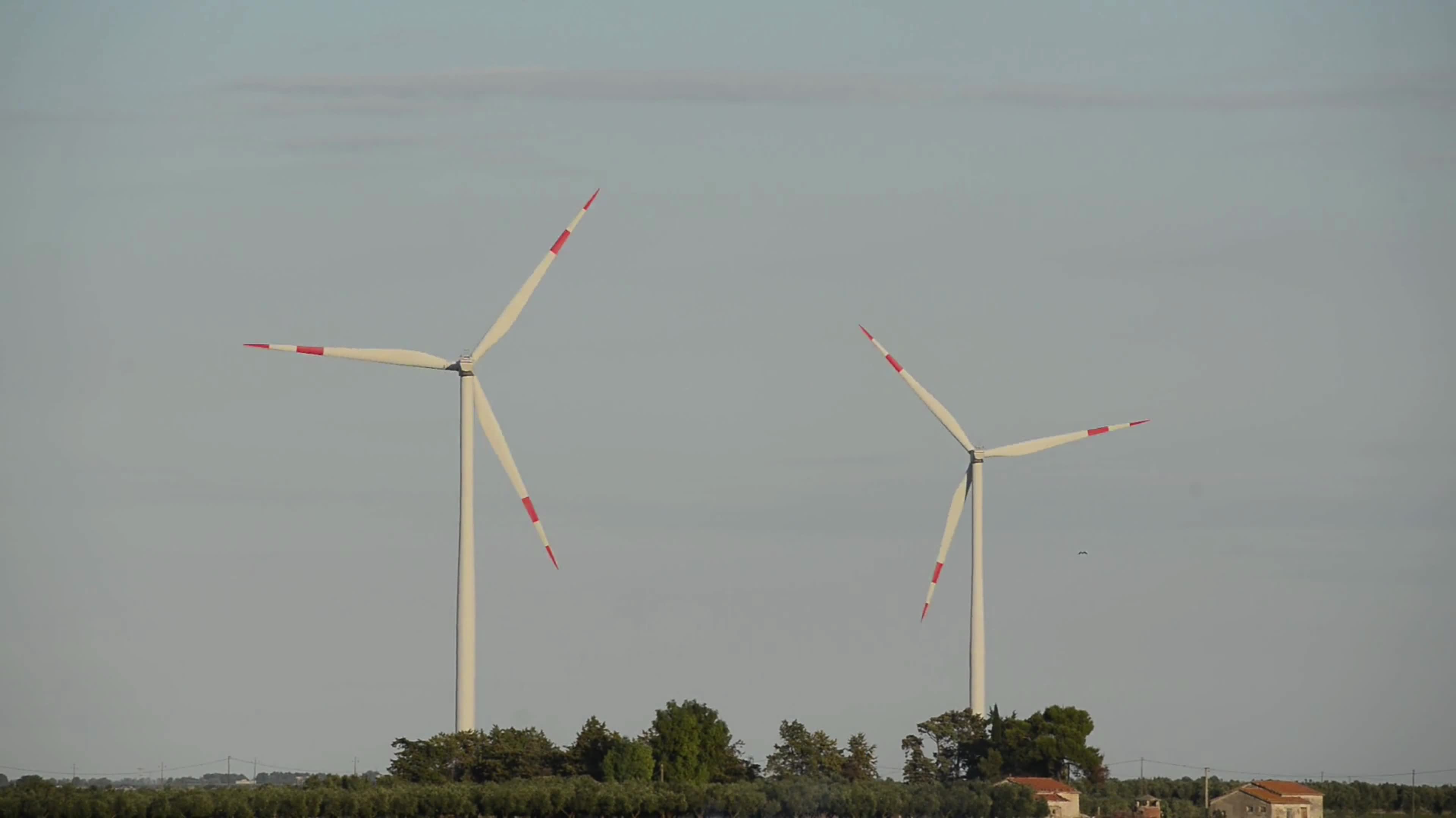 Wind Turbines In Puglia, Italy