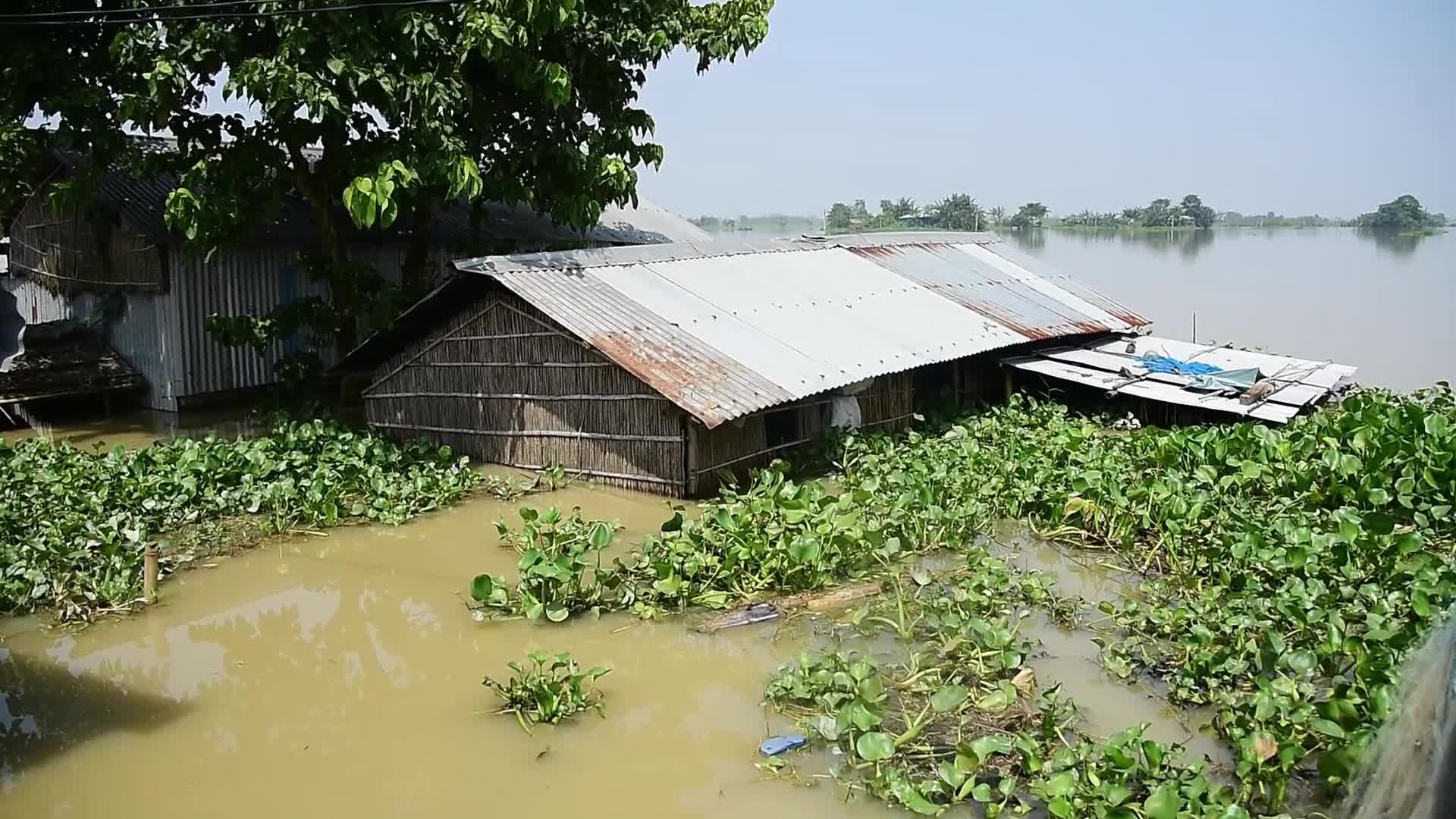 Flash Floods Ravage Indian State of Assam: Over 340,000 Residents Affected