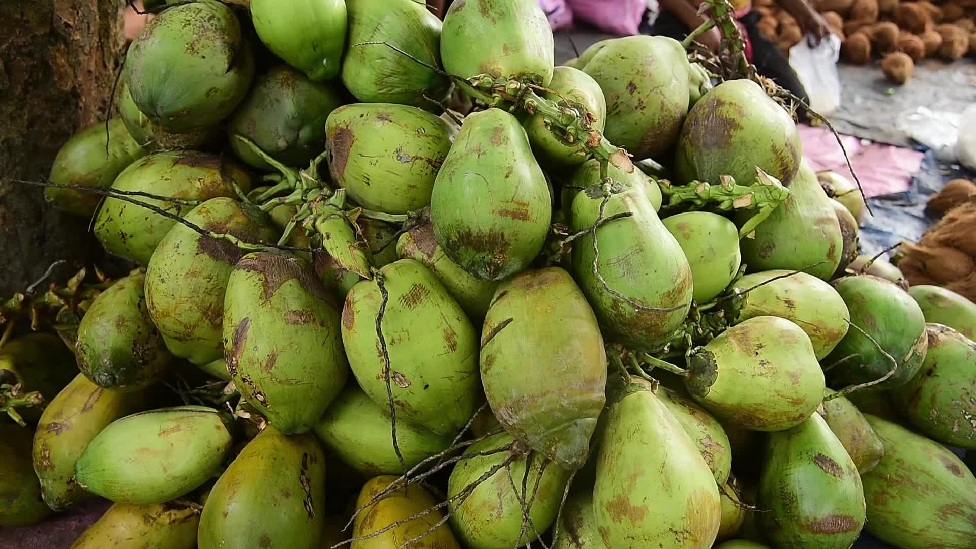 World Coconut Day in India 