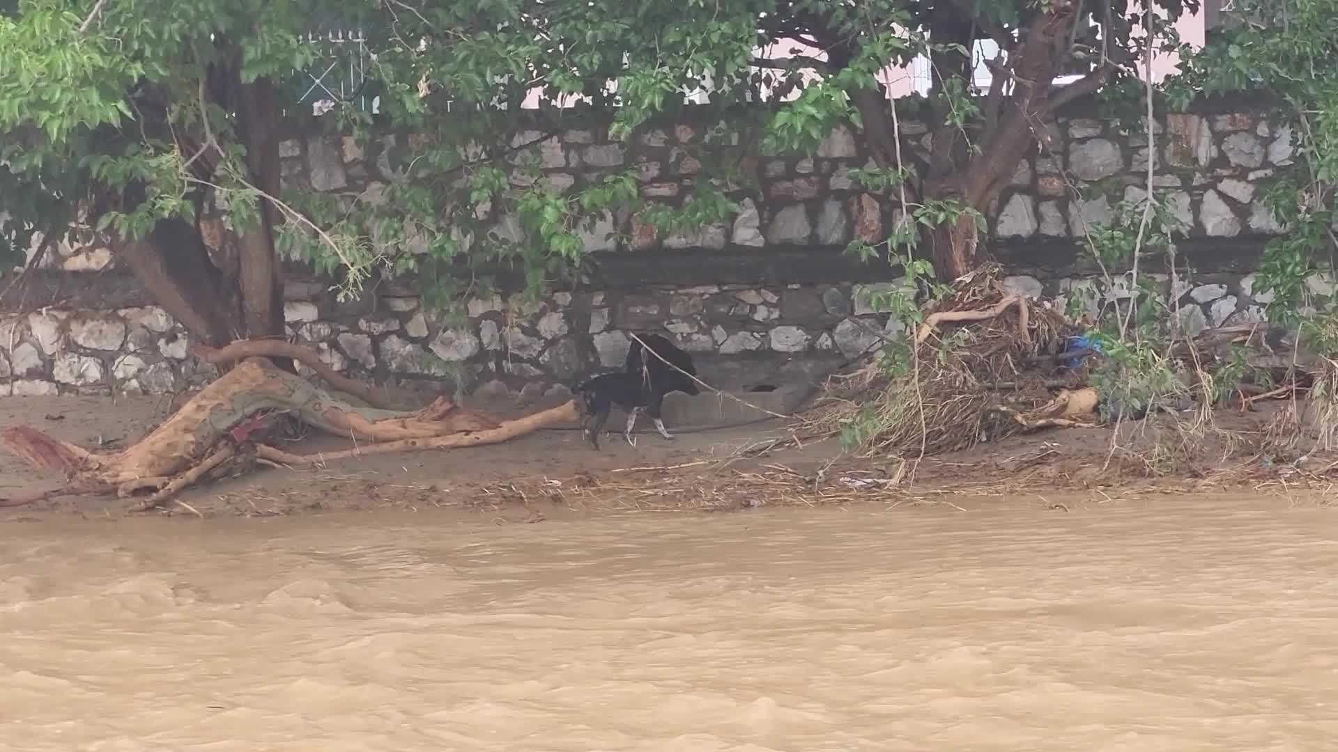 City of Volos hit by record rain and flash floods