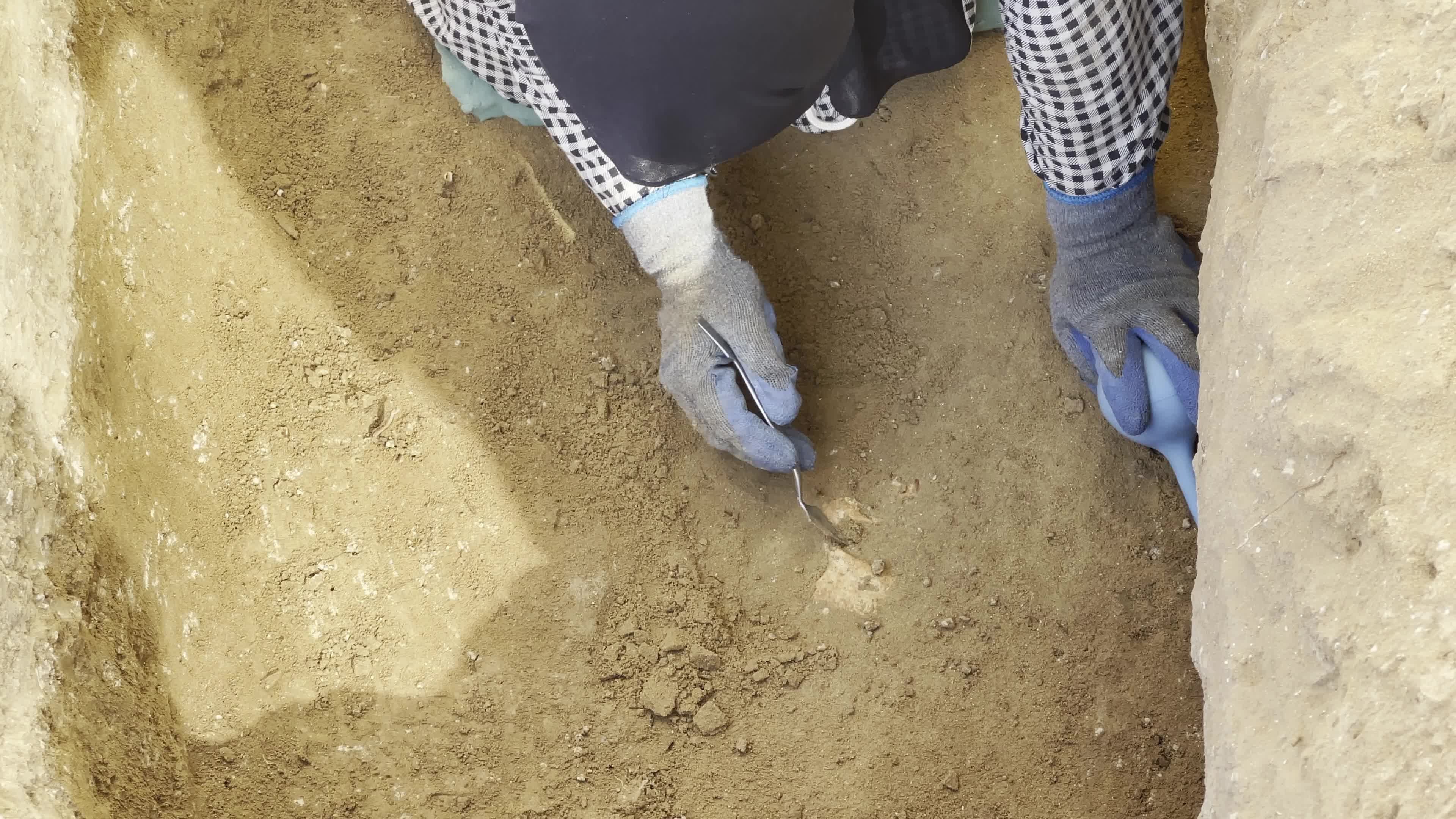Roman Cemetery Discovered In Gaza, Palestine