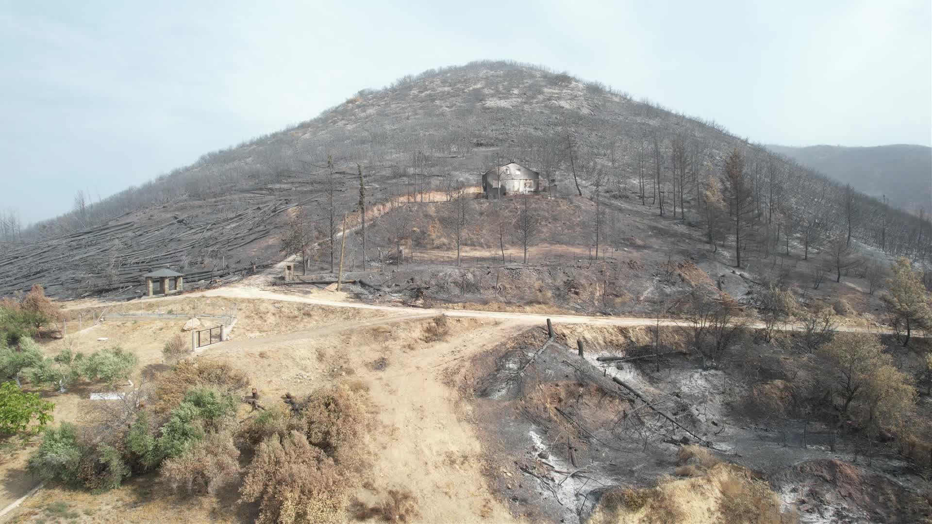 Greece wildfires