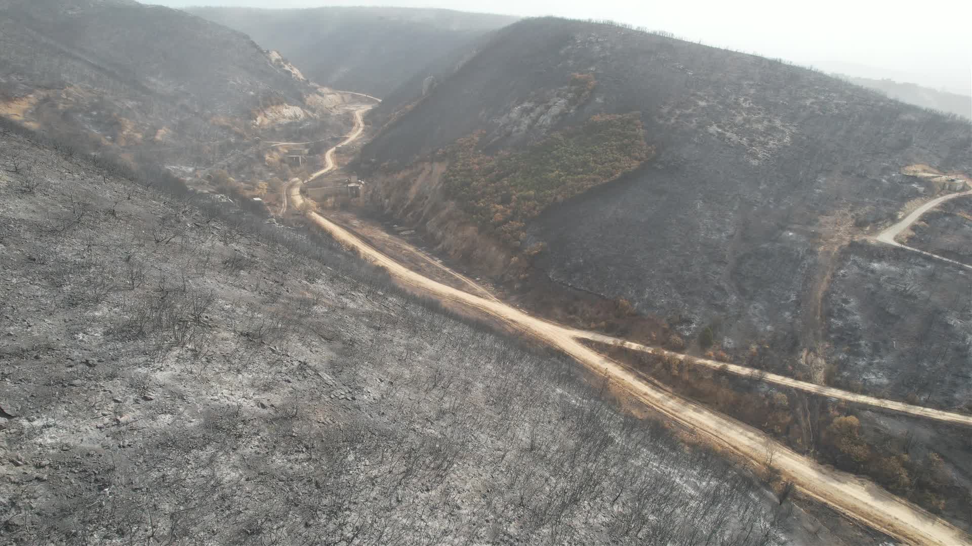 Greece wildfires