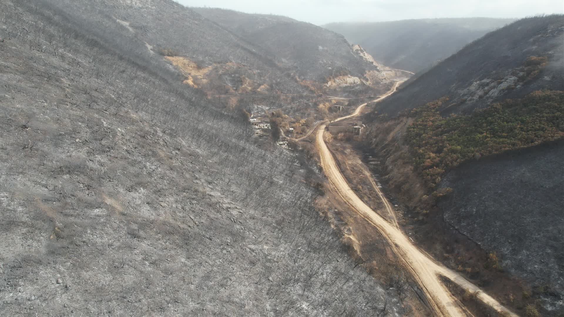 Greece wildfires