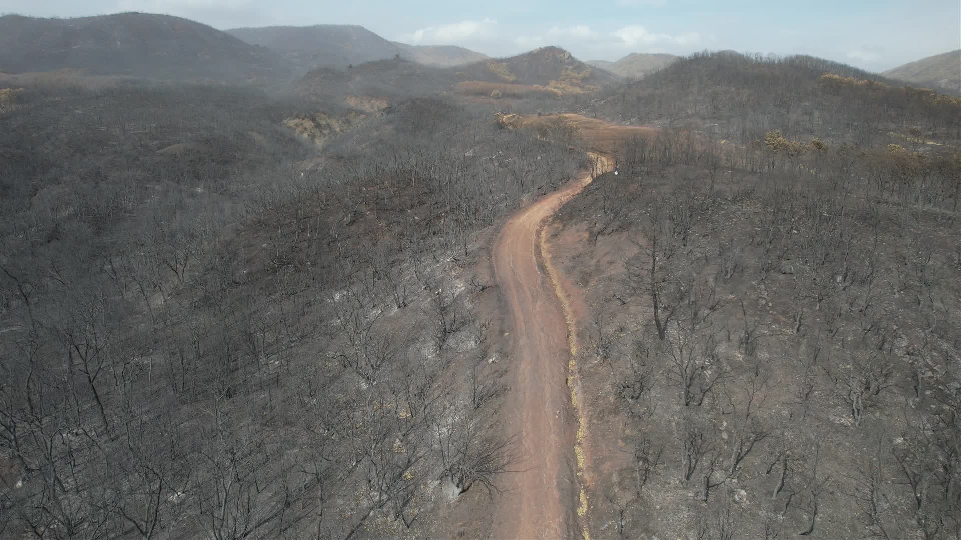Greece wildfires