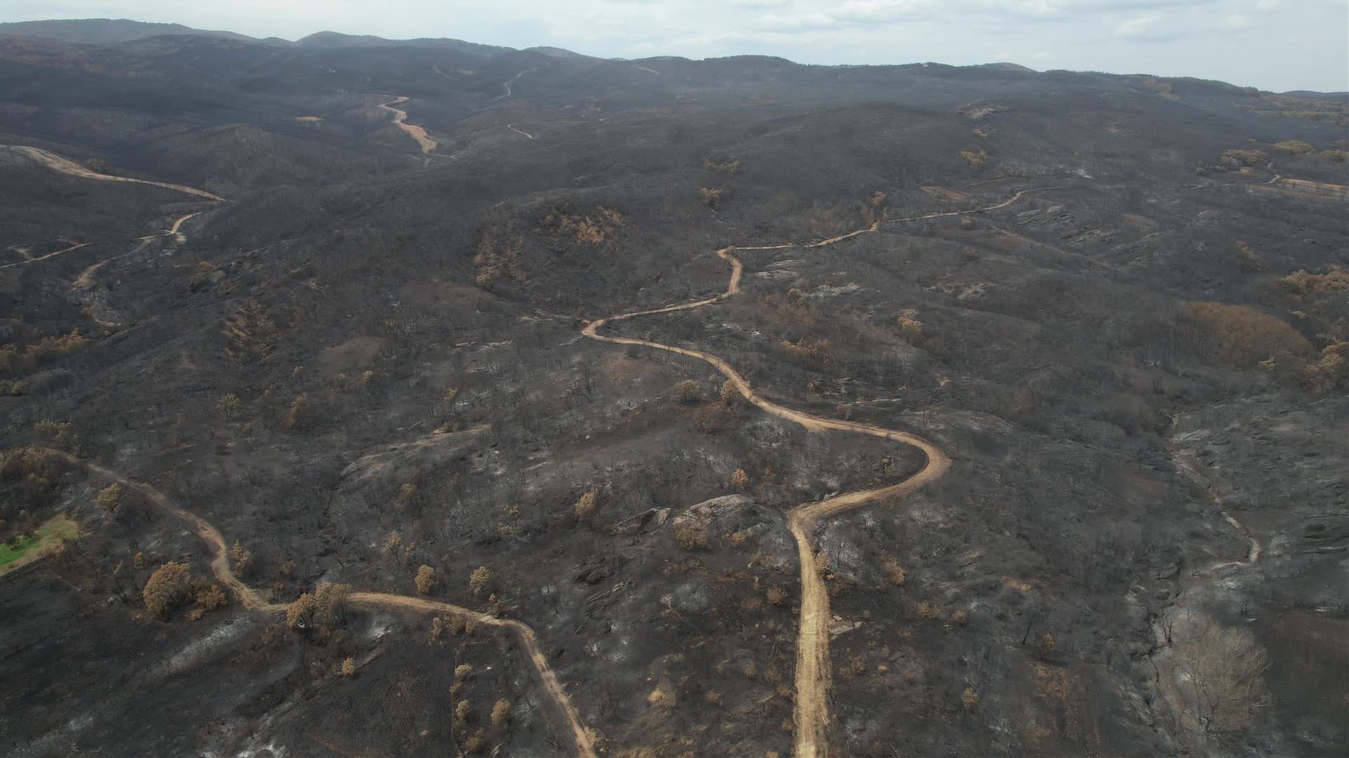 Greece wildfires