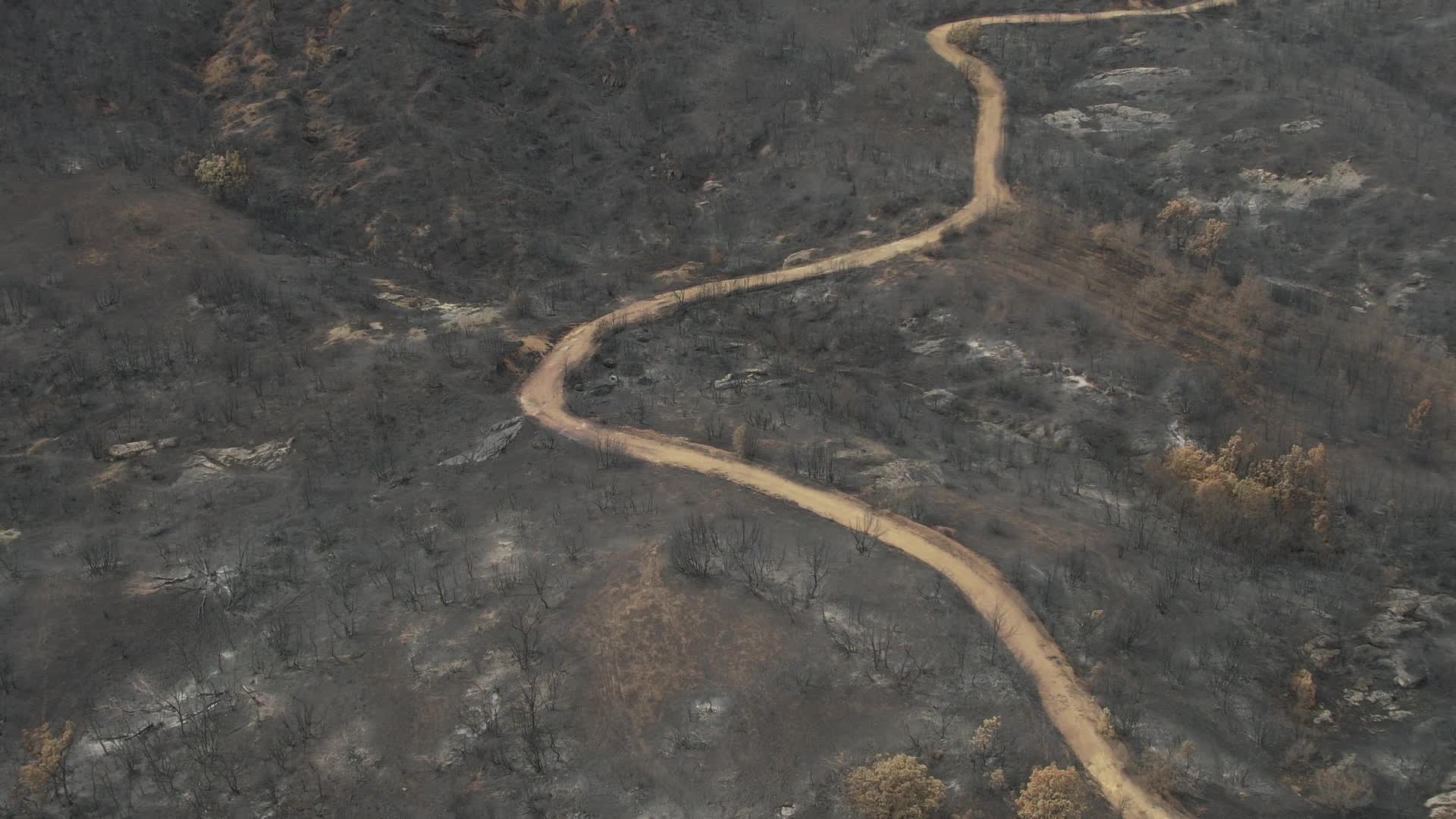 Greece wildfires