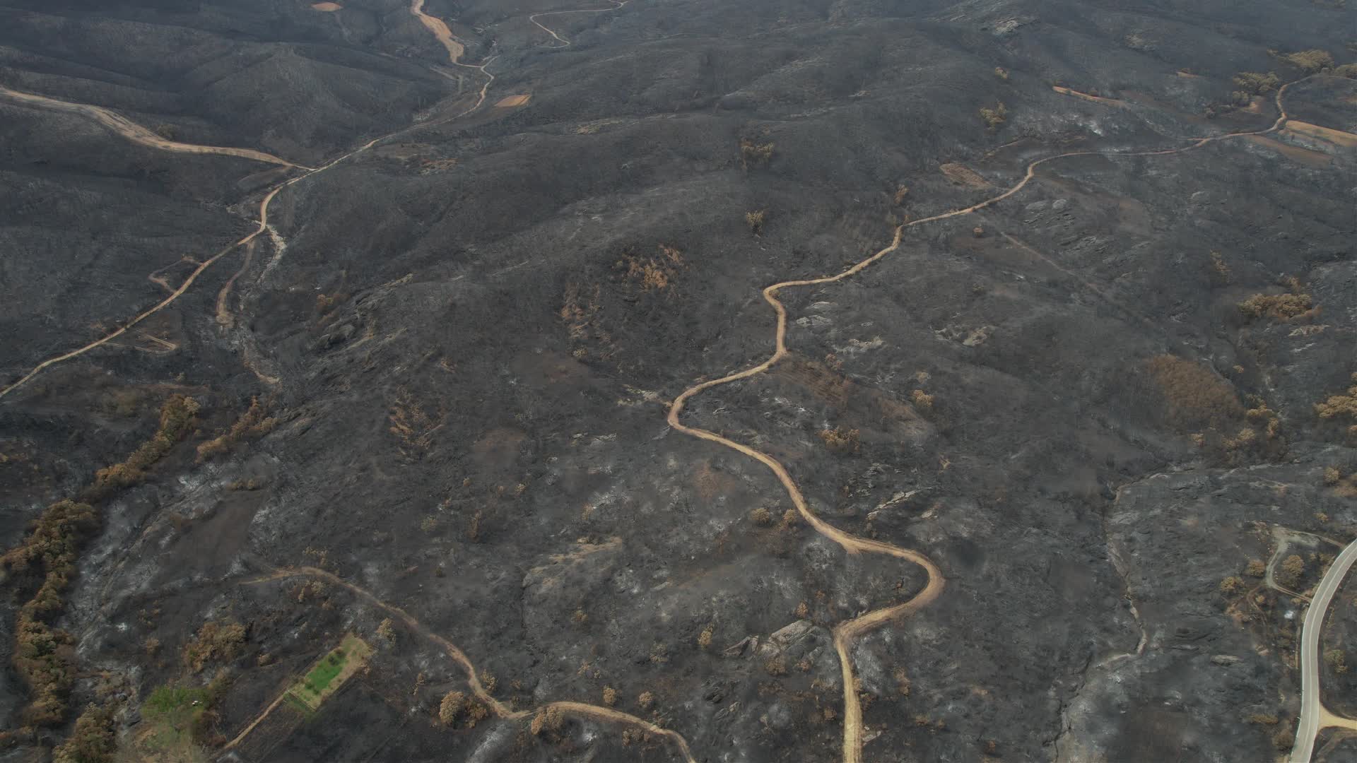 Greece wildfires