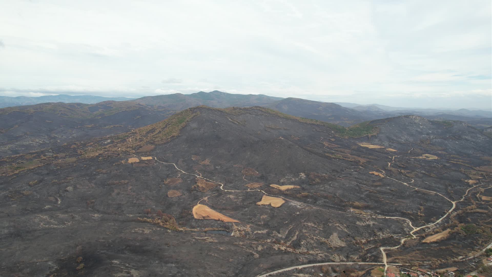Greece wildfires