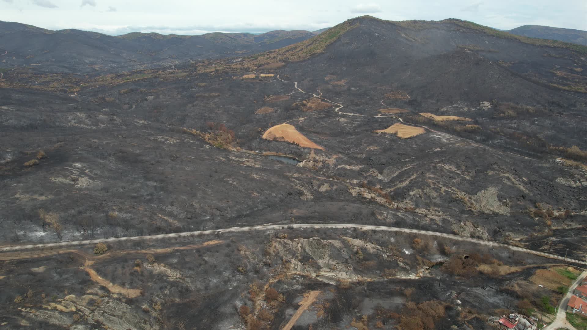 Greece wildfires