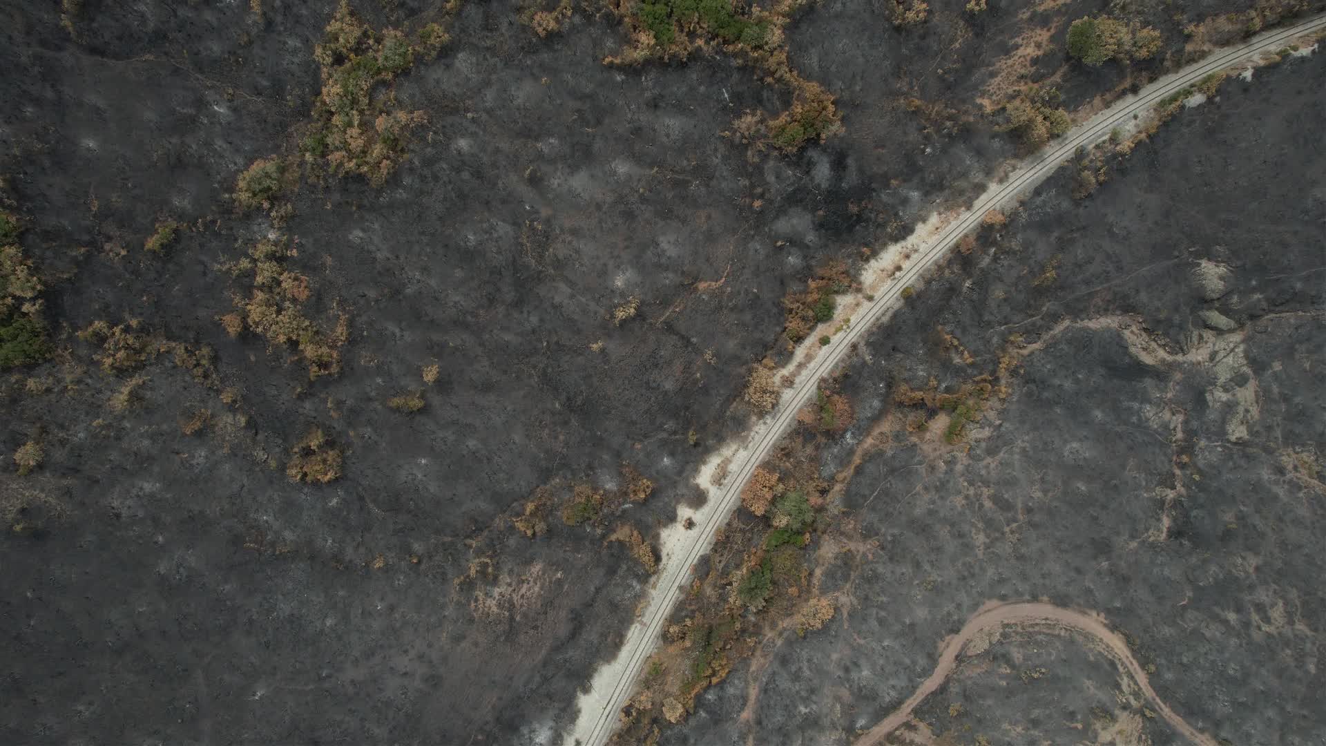 Greece wildfires