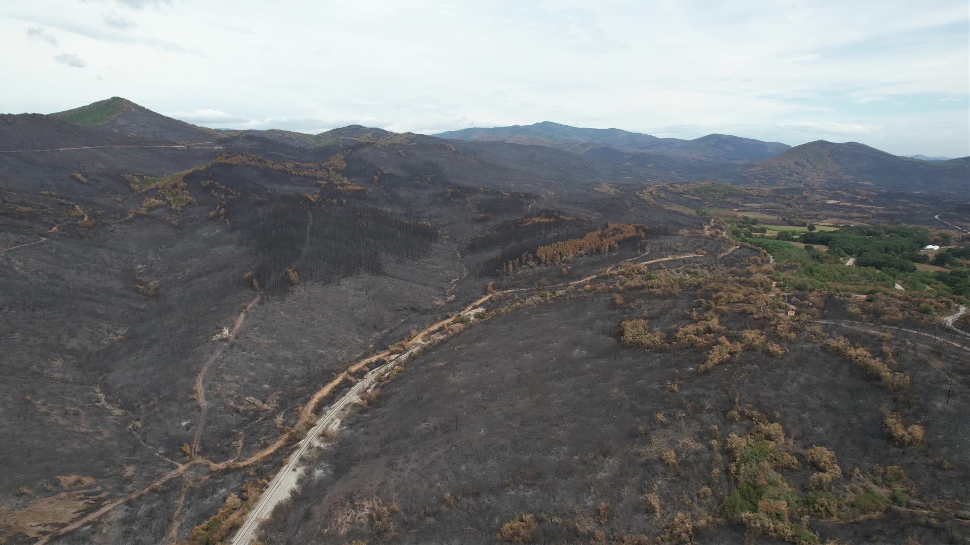 Greece wildfires