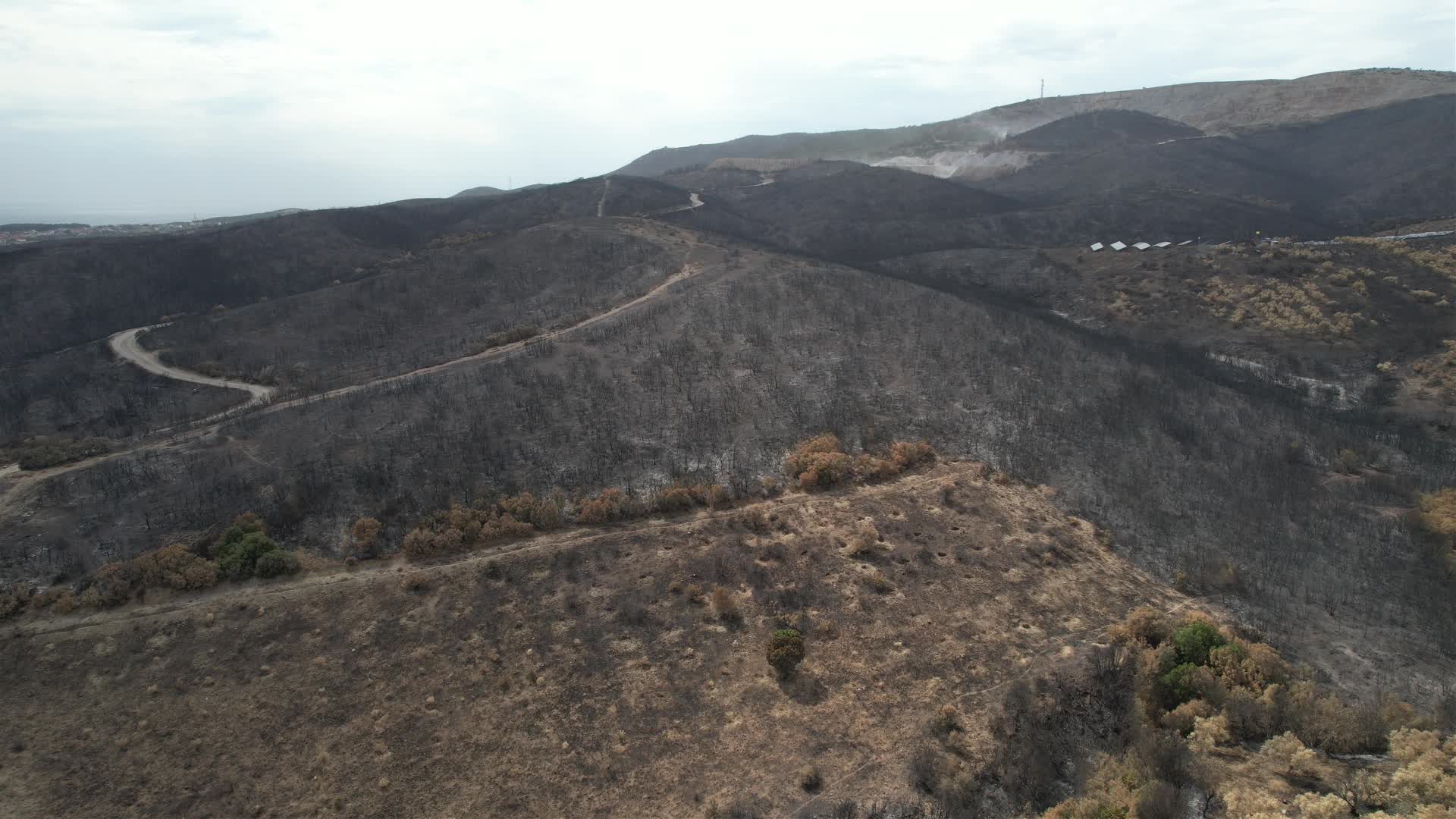 Greece wildfires
