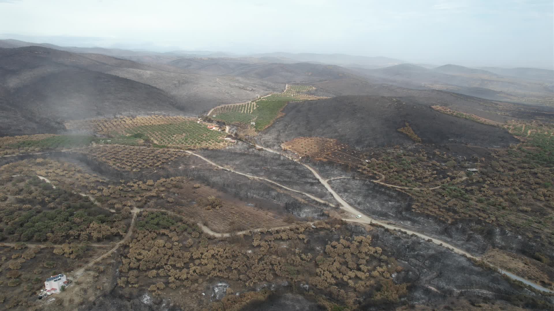 Greece wildfires