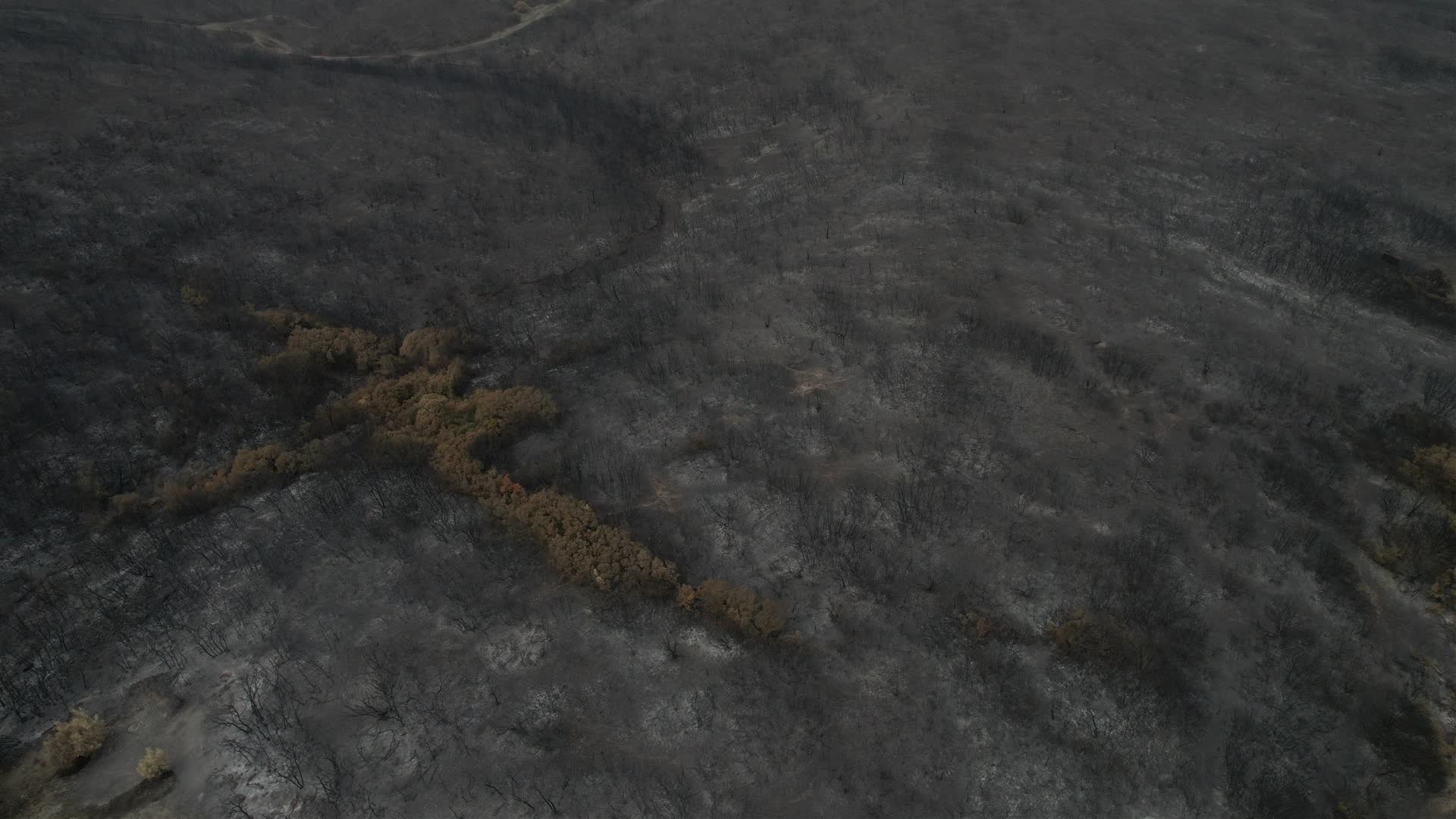 Greece wildfires